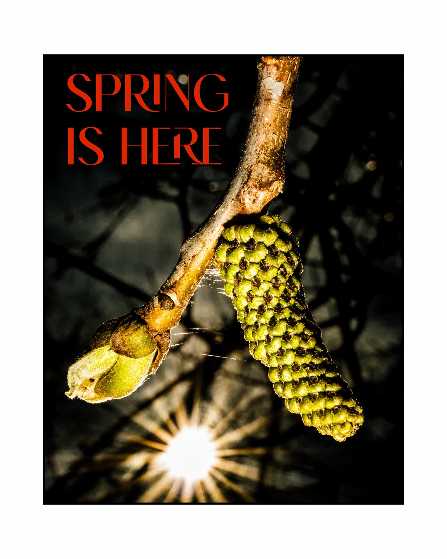 Spring is here – and it feels good.
Ein schöner, entspannter Oster-Sonntag, viel Sonne, gute Vibes und genau der richtige Mix aus Ruhe und Inspiration.
Chill mode on. ☀️🌿🐣
#djlife🎧 #chill #eastersunday❤️