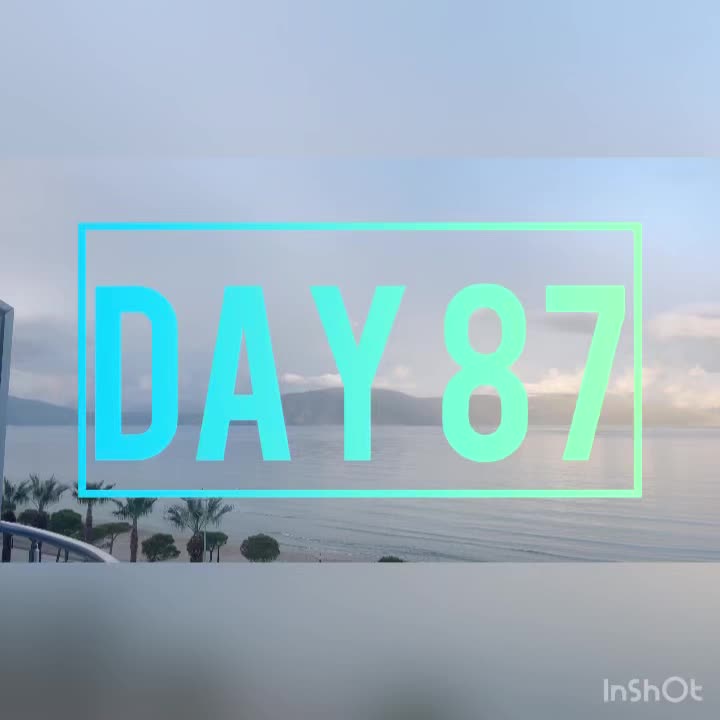 Day 87
🌥️59°/49°
I picked up a few necessities after breky, kitty litter & almond milk (it’s been MIA in the markets for over a week 🤷♀️). Reesy’s skin was finally in stable enough shape to give her stinky, stinky body a bath. And then the moment this house of girls has been waiting for all week, our Philly returned!! A bit of a drug mule, with lots of human/pupper allergy meds, & makeup 🤣. We ordered from a new place downtown, Mr. Greek. Pasta carbonara, pizza with burrata & pesto, fries, & a new red pepper feta sauce called tirocafter! Very good. Some days the footage really feels lame, ha. Thank you for tuning in just in case something you think is interesting happens! The daily vlog helps keep me accountable with my gratitude in even the small joys of this new life, like making my second cup of coffee for the day, or snuggling my pumpkin up in a post-bath towel. Cheers
🪿💜🪿
#sillygoosesonly #vlorë #albania