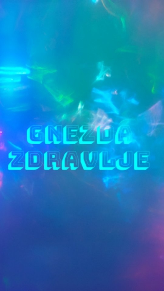 Gnezda kod fabrike "Zdravlje" Leskovac #zdravljeleskovac #leskovac #birdswatching #crows #ravens