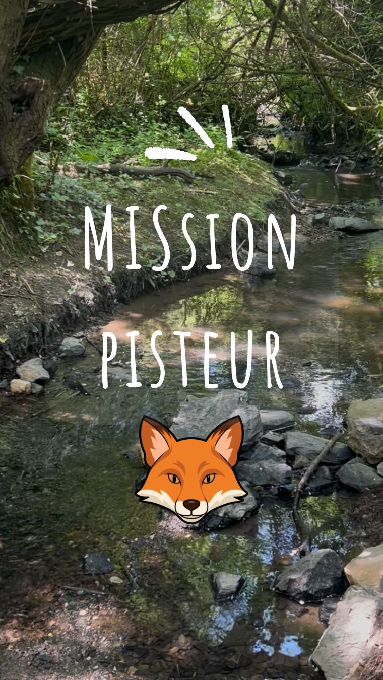 Ce matin, le Renard a pisté toute la nuit. 🦊
Il sait que quelqu’un est passé par là.
Maintenant c’est au tour de ton enfant de trouver les indices.
Une plume. Un trou. Des empreintes. Des crottes. Un indice mystère.
5 traces à découvrir, dehors, au ras du sol, les yeux grands ouverts.
La fiche de mission est gratuite, à imprimer et à emporter en balade.
👉 Lien en bio
Bonne mission, pisteur! Le Renard t’observe 🌿
#activitésnature #sortiesnature #naturepourlesenfants #explorateursnature #enfantsnature activitésenfants