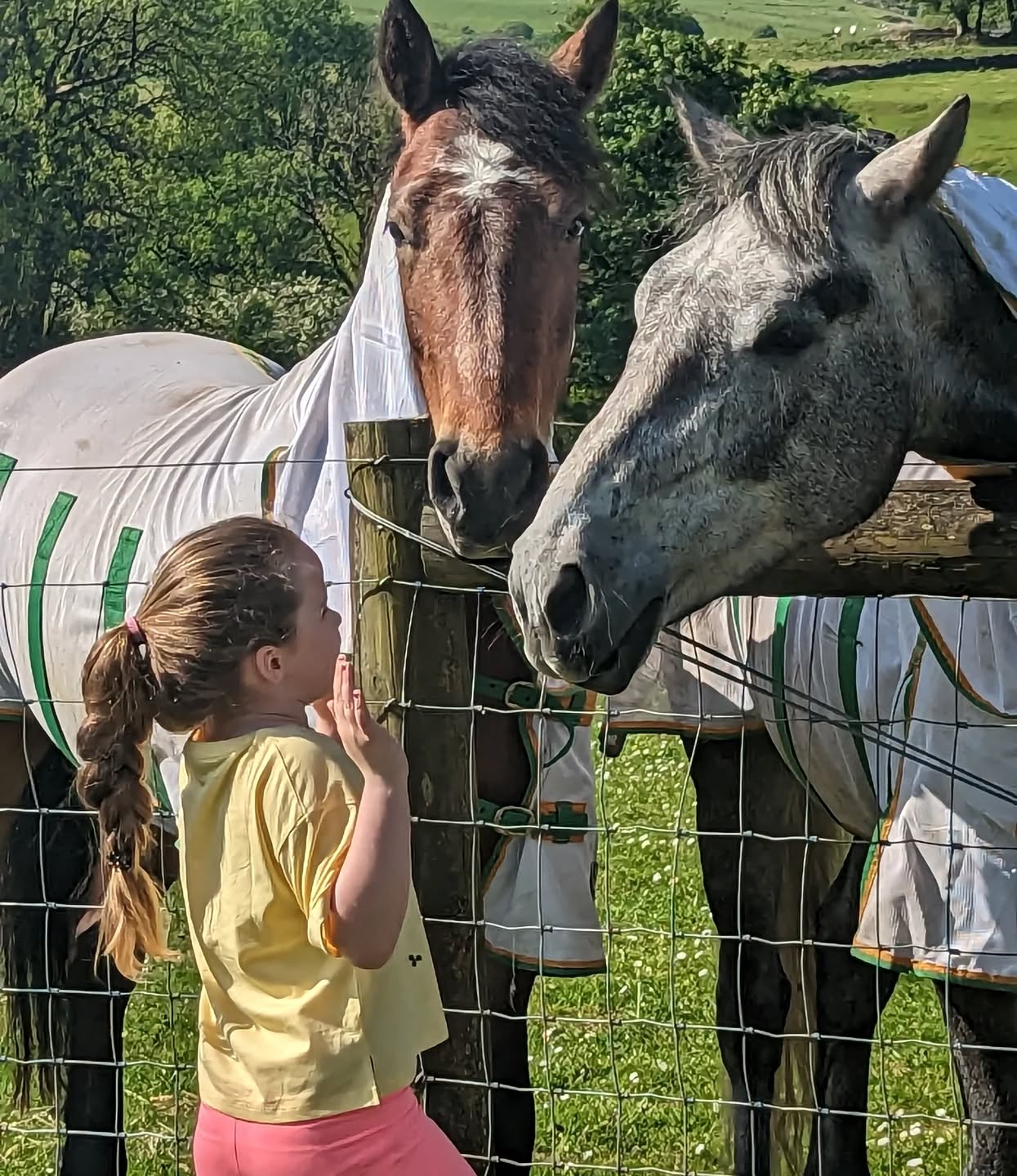 Sunshine, fresh air, and a little countryside magic 🐴🌿
Making new friends over the fence at our perfect holiday escape 💛✨
#cottagecore #staycationuk #MakingMemories #dartmoorholidaycottage #dartmoornationalpark