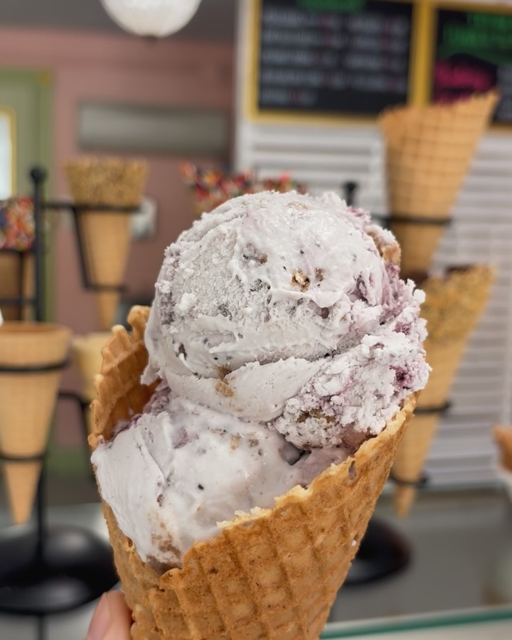In case you missed it, WE’RE NOW OPEN FOR THE ‘26 SEASON!
And we have a new flavor for this month - blueberry crumble! 🫐💙
A blueberry parfait base with blueberry pieces and chunks of cinnamon oatmeal crumble. Only available for the month of April, so come get it before it’s gone!
#newport #newportri #homemadegelato #waffles #icecream #dessert #supportlocal #familybusiness #fyp