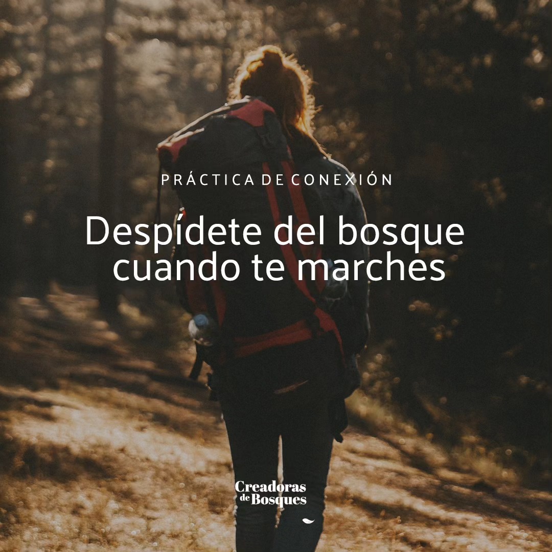 Ahora que volvemos a la rutina valoramos más nuestros paseos improvisados y nuestros momentos de paz en la Naturaleza.
Dar las gracias al Bosque por el intercambio energético experimentado después de un paseo te ayuda a poner consciencia y reconocer la sintonía que existe entre Ti y el entorno.
Dar las gracias te abre a recibir de manera consciente.
Si lo necesitas, puedes repetir el mantra "Me siento agradecida por ser parte del Todo". Te llebará a un estado de reconocimiento y te ayudará a poner consciencia y conectar con el lugar presente y la sanación recibida.
¿Tienes tú también tu propio Ritual?
🌱🌳💚✨
#creadorasdebosques
#agradecer
#mujeresconectadas
#conectadasalatierra