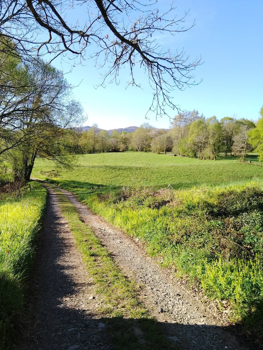 Je suis fatigué 😴 Ces derniers jours je n'étais pas présent ici : je mettais le turbo pour vous proposer un nouveau coloris à l'occasion du @knit_toulouse ! Je pensais pouvoir tenir le coup encore quelques jours mais mon corps dit stop, et j'en suis bien triste...
Alors aujourd'hui, repos ! Le nouveau coloris arrivera en mai et ce sera très bien aussi.
À très vite ❤️
