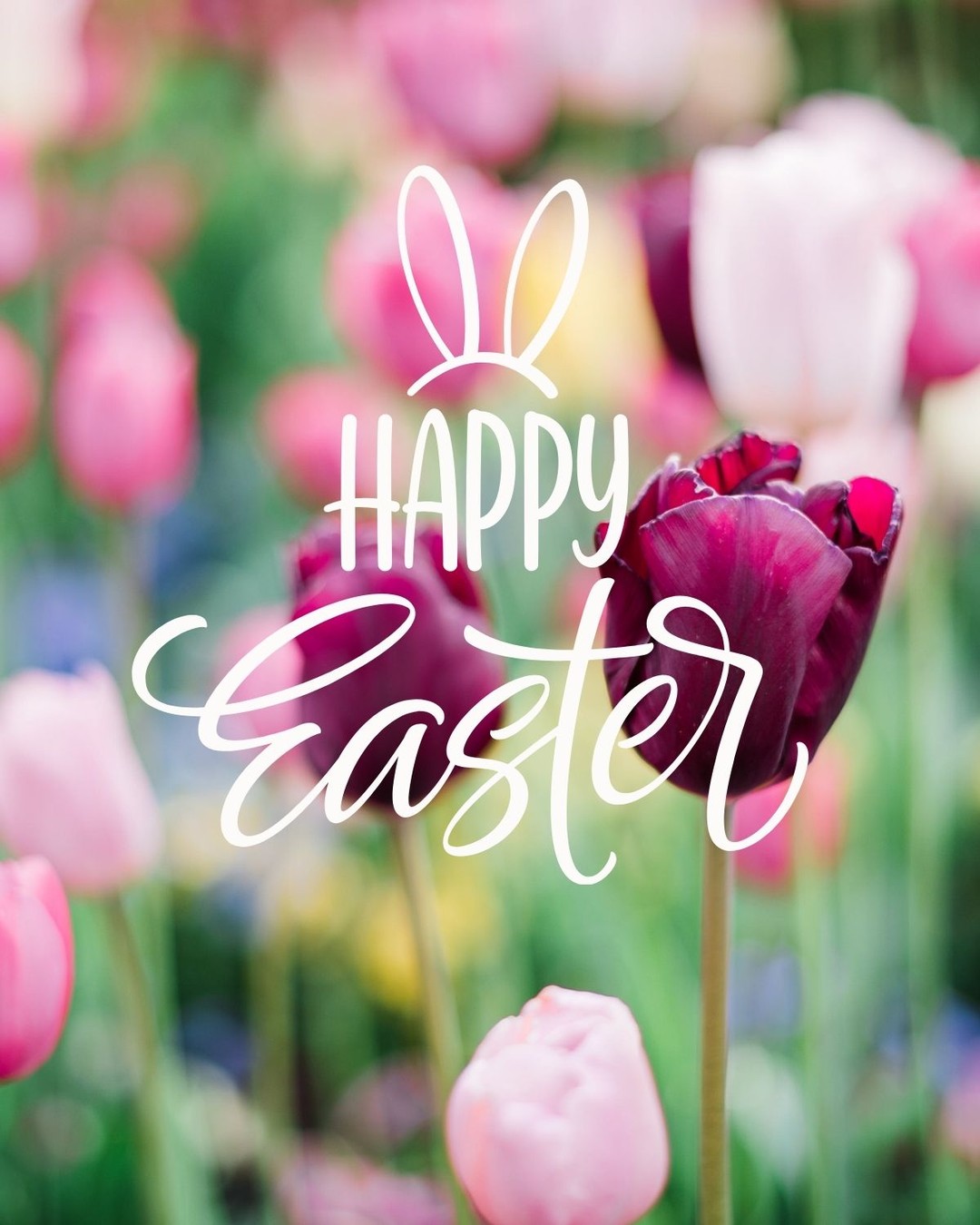 Happy Easter 🐣✨
Here’s to fresh starts, brighter days, and everything this season brings 💛