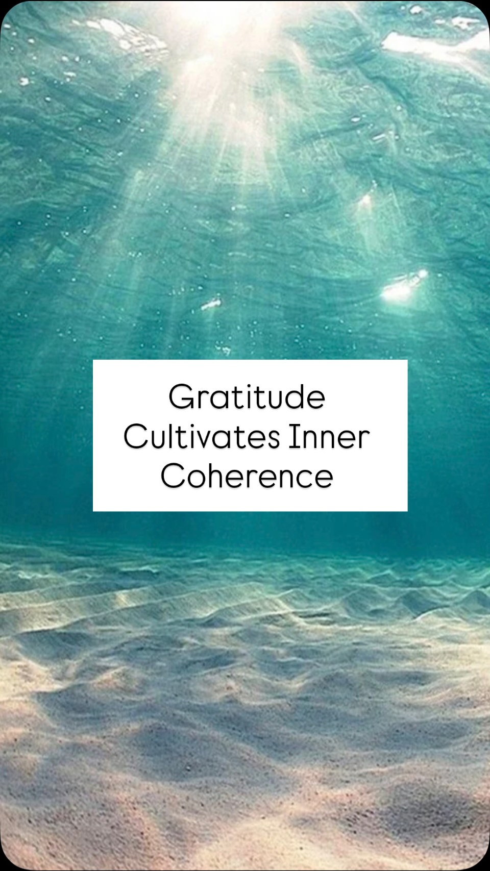 Your quantum field is your ✨energetic ✨playground.
One of the fastest ✈️ ways to create inner coherence is through gratitude.
Bring to mind a person, 🧍♀️ moment 🧘♀️or experience you are deeply thankful for.
Feel it fully.
Gratitude is the gateway to abundance.
Comment below one thing you’re grateful for today 🙏
#debbielashyoga #meditation #psychedelicbreath #breathwork #gratitude