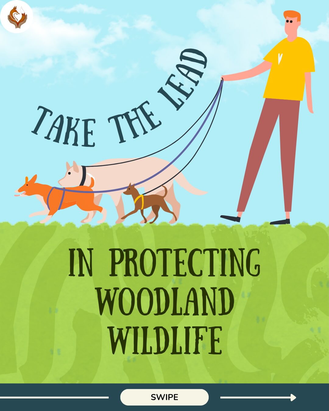 Woodlands provide vital habitats for wildlife. Keeping dogs on leads in woodland areas helps protect ground-nesting birds, small mammals and fragile habitats! 🫶✨
It’s a small step that helps nature thrive. 🌱
#Conservation #ConservationEfforts #ConservationOptimism #Wildlife #WildlifePlanet WildlifeConservation SaveOurPlanet