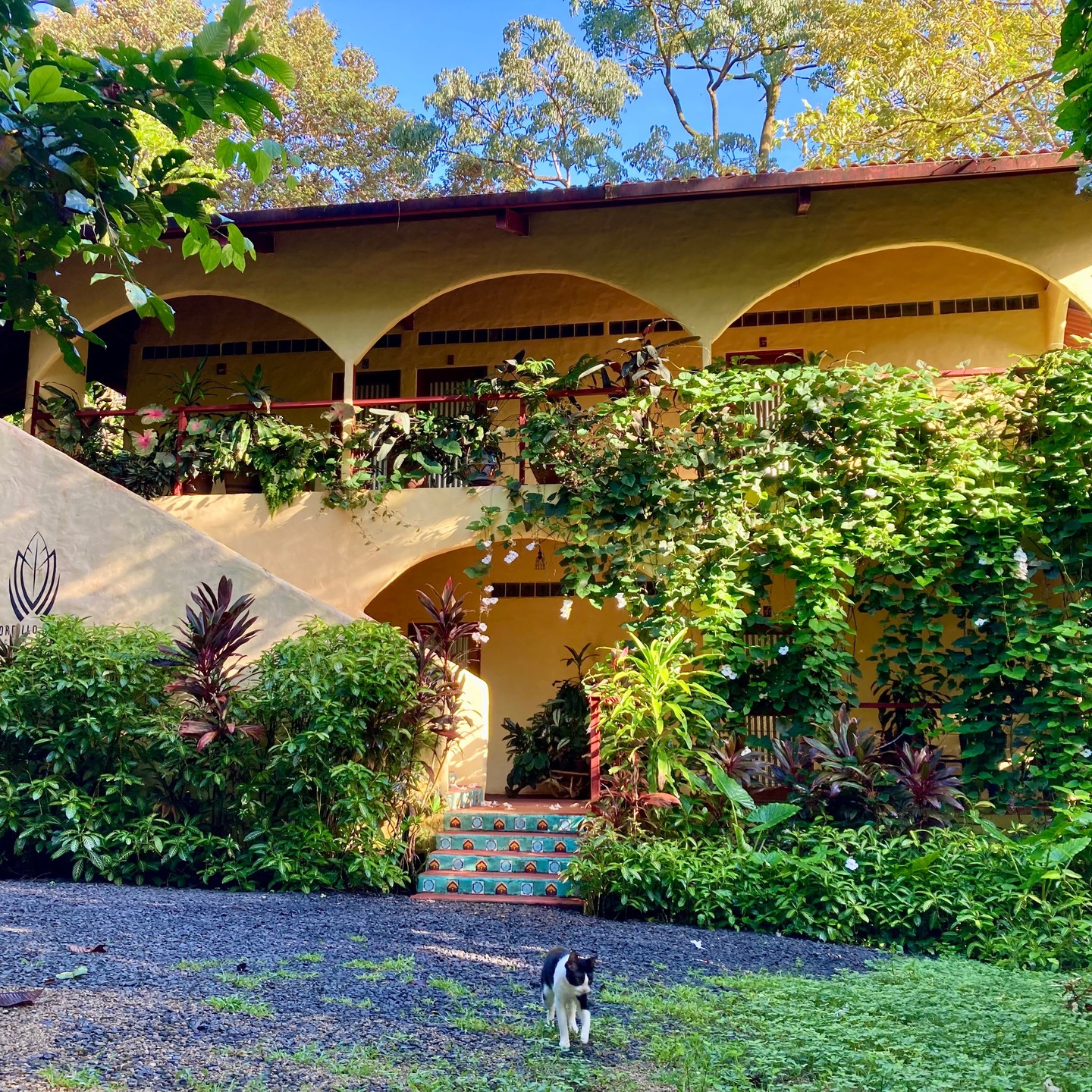 Daytime / Dusktime always such a beautiful time here in this peaceful place.
#Morrillo #AdventureTraveler #AdventurePanama
#SustainableTravels #SurfingLife #FamilyTravelAdventures #FamilyTravelMoments
#FamilyTravelIdeas #FamilyTravelAdventure #FamilyTravelTime
#AdventureFamilyTravel #AdventureTravelFamily
#AdventureTravelers #AdventureTraveller #AdventureTraveling
#PanamaTravel #EcoLuxury #SustainableTravel #HiddenPanama #BoutiqueResort
#GirlsThatSurf #GirlSurfer #SurfgirlMag #SurfAdventure #UncrowdedSurf #SurfPanama #SurfHoliday