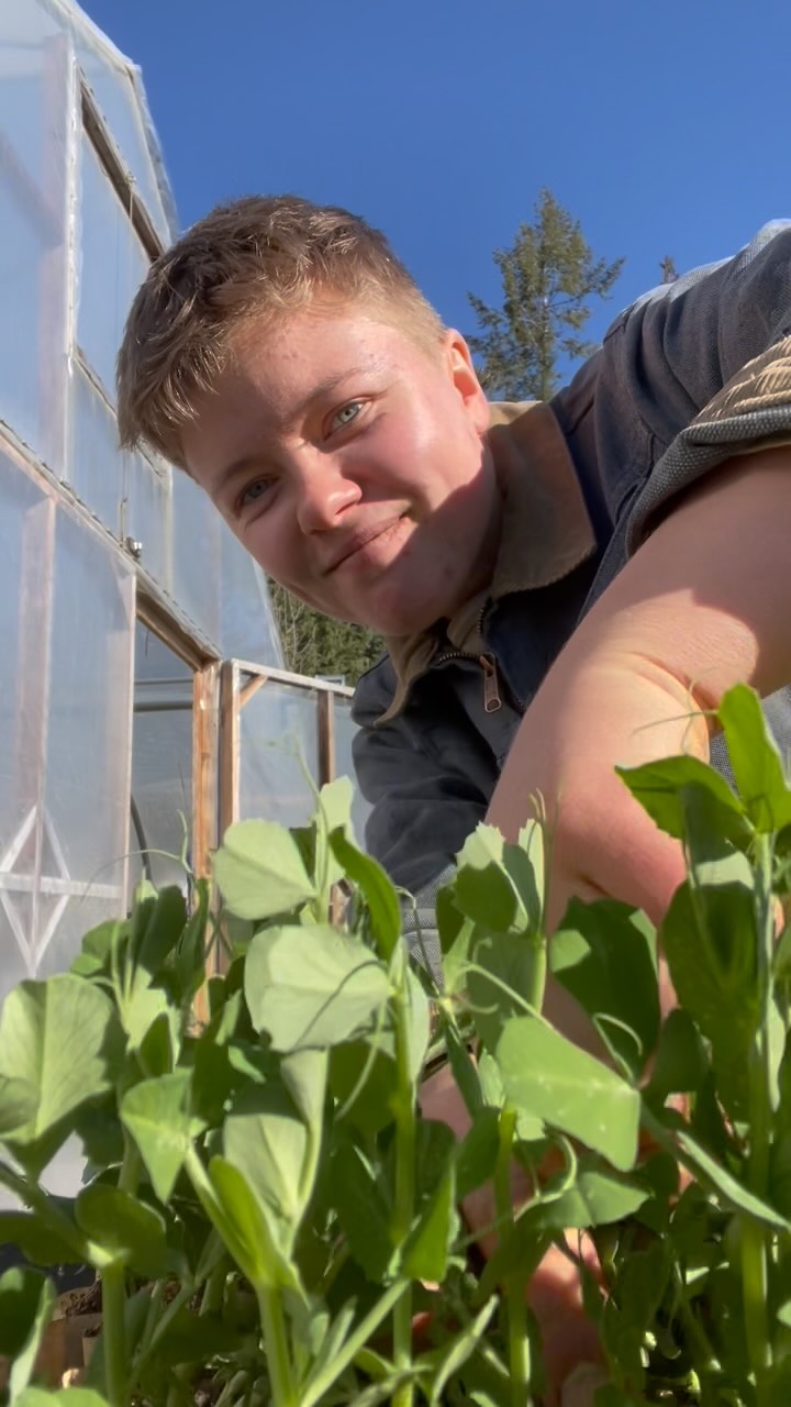 What to do with extra pea transplants: eat them and do a #danceoftheweek Also, I upgraded my phone to the latest version so that I could get an app and overall it’s been not that great, except for the fact that now I can video and still listen to music!!!! So basically, the upgrade is worth it.