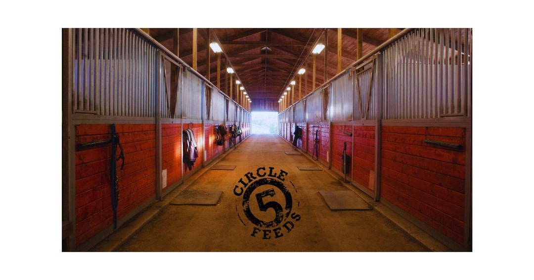 Just because it’s Saturday doesn’t mean the chores stop…
Barn still needs cleaned.
Horses still need fed.
Water tanks still need checked.
But somewhere in between all that, take a little time for the things that make you happy.
Maybe it’s a quiet ride.
Maybe it’s leaning on the fence watching them in the pasture.
Maybe it’s just being out in the barn where everything feels right.
This life keeps you busy… but it’s a good one.
Take care of what needs done — then take a minute to enjoy it.
#Circle5Feeds #HorseLife #RanchLife #Saturday