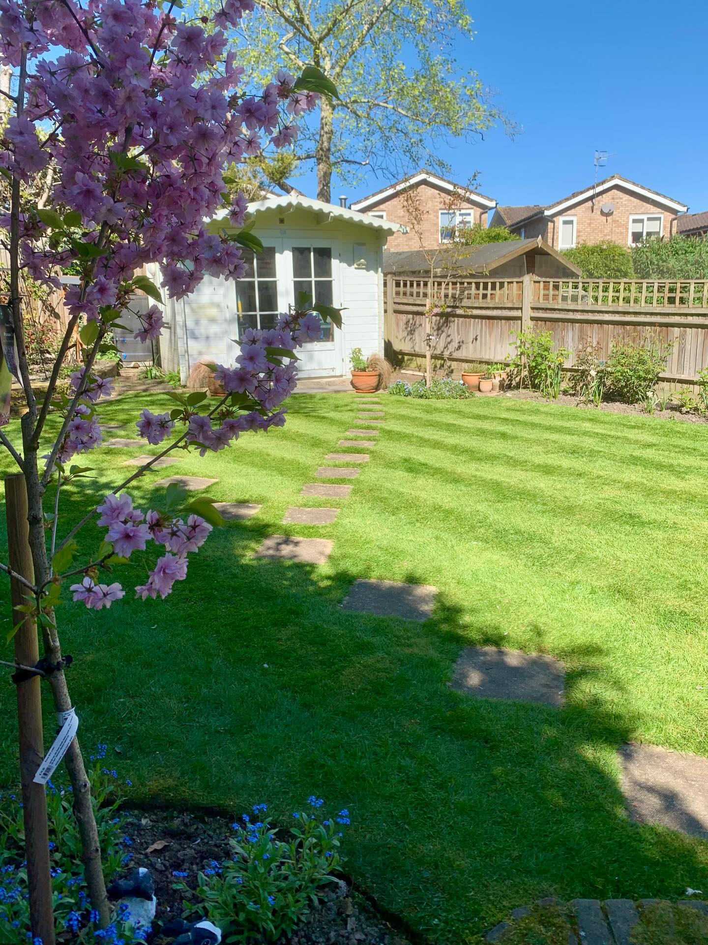 Gardens were looking lovely today in the sun!
#highamwoodgardens #gardenertonbridge #gardensofinstagram #englishgardens #gardening