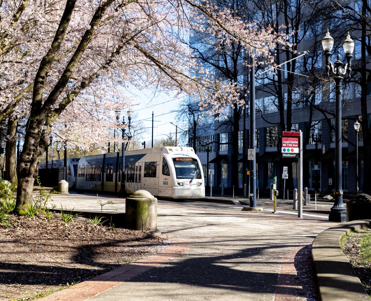 Since I moved to the PNW I have been captivated by the MAX trains. When the cherry blossoms started blooming it was my goal to find a spot where I could capture photos of both. Such a beautiful time of year around Portland. Which one is your favorite?