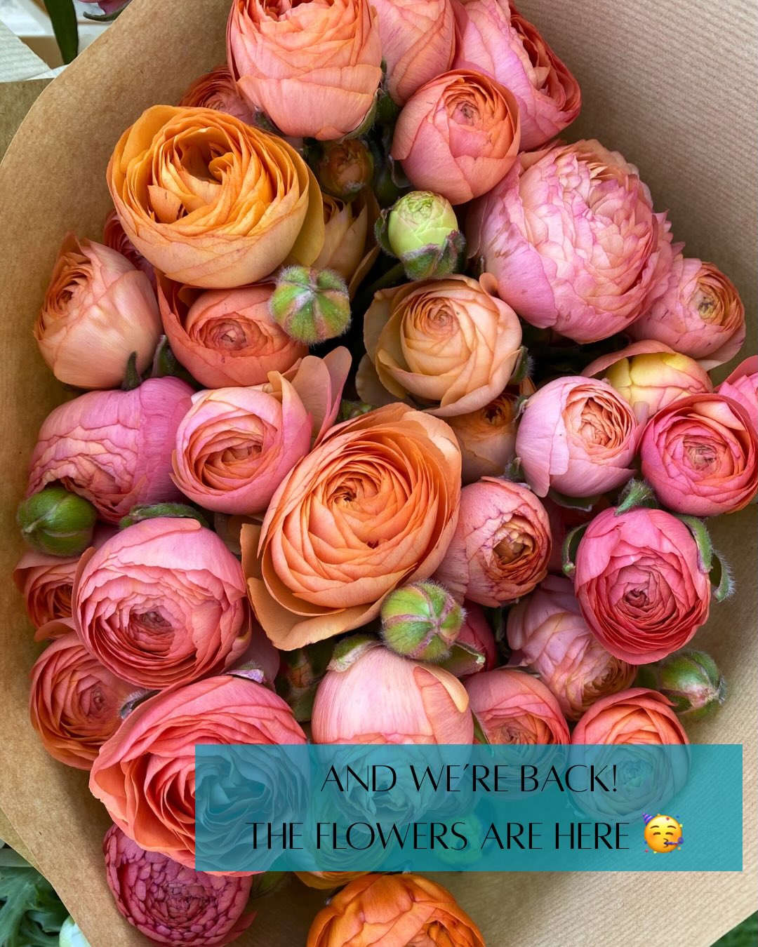 And weβre back! The flowers are here π₯³πΈπ