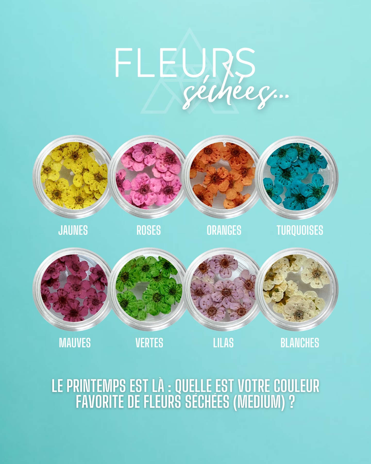 En ce début de printemps, quelle est votre couleur favorite parmi notre collection de fleurs séchées de taille moyenne? 🌼
Saviez-vous qu’en plus de cette collection (2.95€/pot), vous pouviez également trouver sur notre e-shop une variante de petite taille (1.95€/pot) ? 🌸
Une seule adresse à retenir : www.almas-creation.com 🛍️
#flowernails #flowernail #nailsflowers #onglerie #ongleries