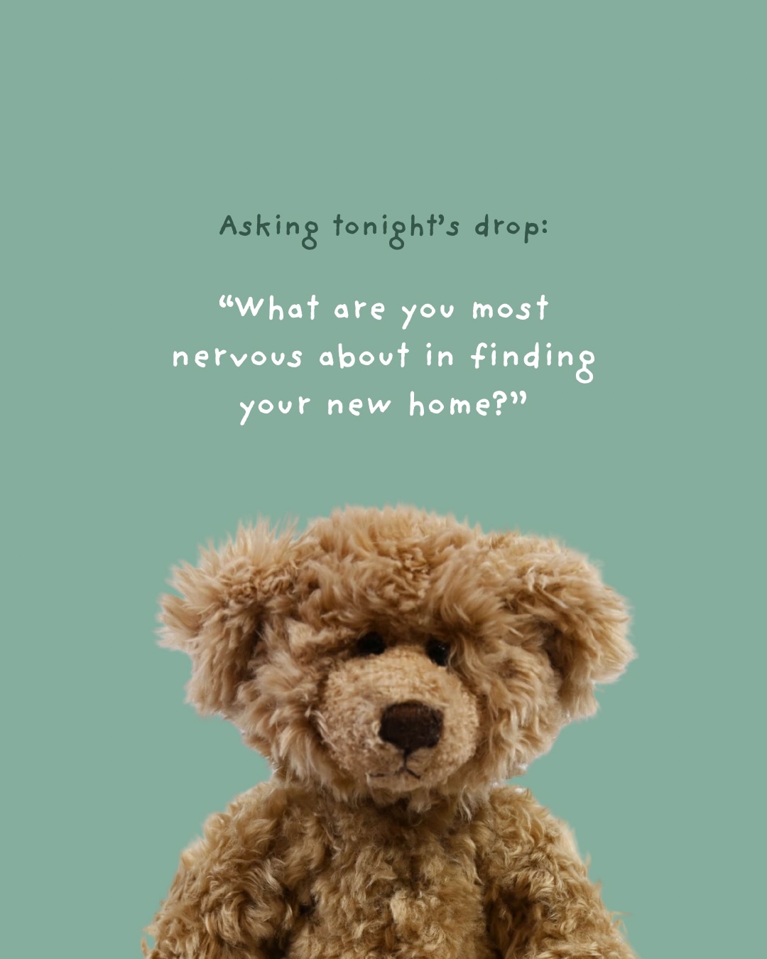 All (largely) very valid concerns, don’t you think? 🐻🐾 Newbies arriving at 8pm 🏃🏻♀️