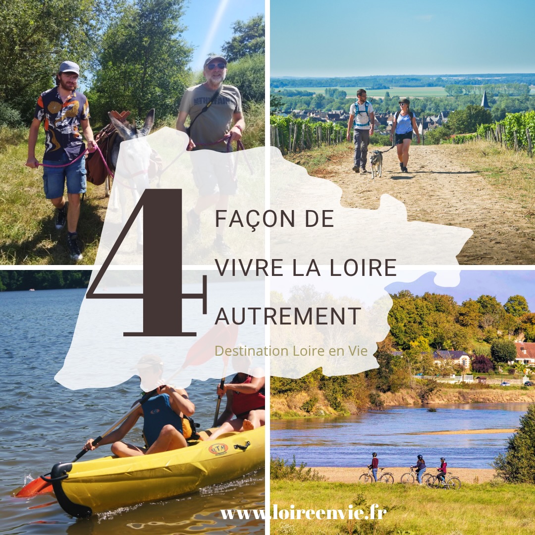 4 façons de vivre la Loire autrement
Entre Roanne et Gien, la Loire se mérite….. et elle le rend bien.
À pied : Prendre le temps de longer le fleuve, sentir le sable sous les semelles, s’arrêter là où ça nous chante.
À vélo : Longer les levées, traverser les villages endormis, sentir le vent du fleuve dans le dos. Le vélo, c’est la liberté de couvrir du territoire..
En canoë ou en bateau : Vue rase sur l’eau, silence, bancs de sable et hérons cendrés.
Avec un âne : Le compagnon de route idéal pour ceux qui veulent vraiment décrocher.
Loire en Vie, de Roanne à Gien 250 km d’une Loire plus sauvage, à découvrir à votre rythme.
#loireenvie #loire #activites
