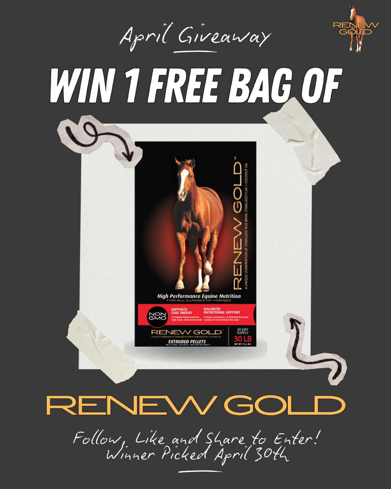 🌸 APRIL GIVEAWAY 🌸
We’re giving away a FREE bag of Renew Gold® shipped direct to your door 📮🐴✨
Ready to upgrade your horse’s nutrition? Now’s your chance!
How to enter:
✔ Like this post
✔ Follow our page
✔ Share this post
Winner will be announced April 30th 🎉
Terms apply.
Good luck!
#RenewGold