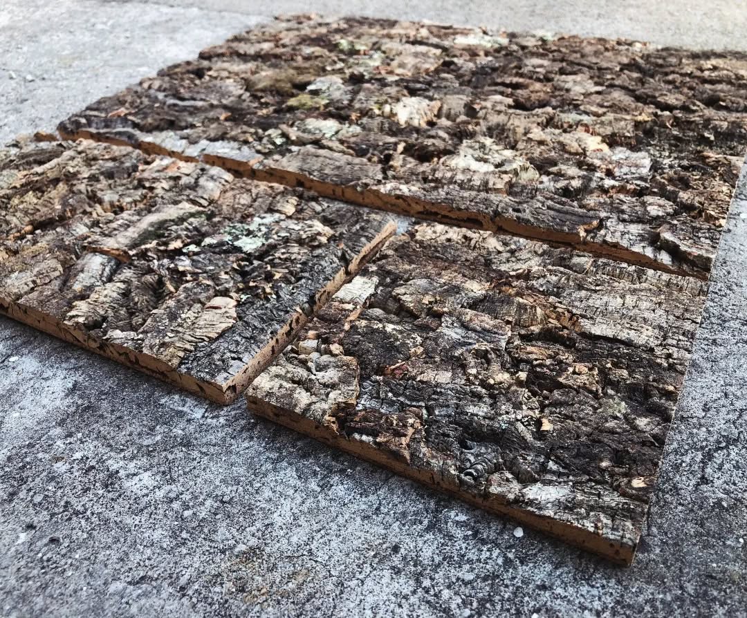 Cork Panels
These wall panels are ideal to use as background of your pet cage or vivarium, or even to cover a wall for indoor and outdoor decoration and stylish purposes.
The front of the panel is made of virgin cork flat, laminated, glued and pressed onto an agglomerated cork sheet. The agglomerated cork back is a flat surface, easy to apply glue and to cover walls.
Standard sizes are:
90x60 cm
60x30 cm
30x30 cm
For some destinations, there might be a minimum quantity order. Phytosanitary treatment and certificate are not in Europe.
Other sizes are possible to make but price needs to be consulted and calculated. The maximum size is 90x60cm.