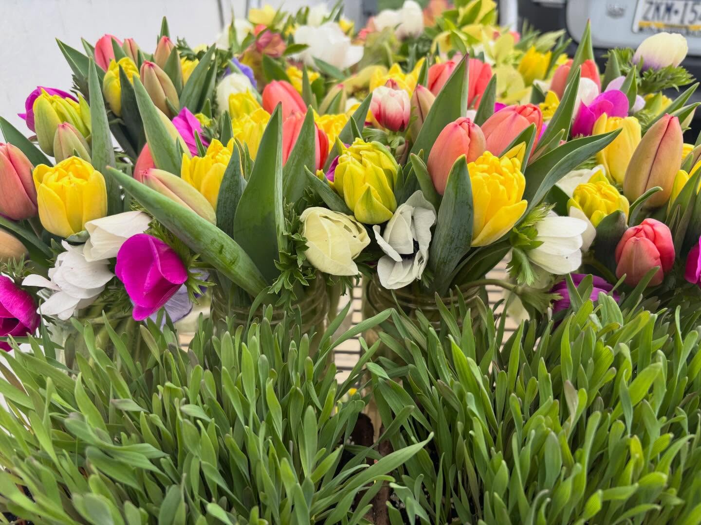 Welcome Spring!
Popping Up two ways this weekend!
🪺FRIDAY, April 3, 9-2, here at the farm, 2428 Walnut Bottom Road Carlisle
🪺SATURDAY, April 4, 9-1 @talking_breads
Plus bunches @beemansbakedgoods and @peoples.provisions all weekend.