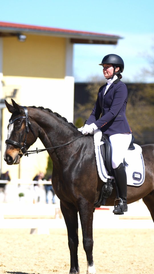 Is it Heaven or is it Earth?😍 🐎
Pferde sind für mich ein sehr großer Teil meines Lebens und so ein Pferd wie Santino zu reiten macht einfach nur Spaß! Ich denke diesen Spaß und diese Leichtigkeit hat @carinagrosch_fotografie hier ganz gut festgehalten.
Was seht ihr in diesem Reel?
Schreibt mir es gerne in die Kommentare. ❤️
Outfit von @cieli_equestrian_europe 😍😍😍
#focusandreflect #dressage #equestrian #dressur #reitenwieespferdelieben