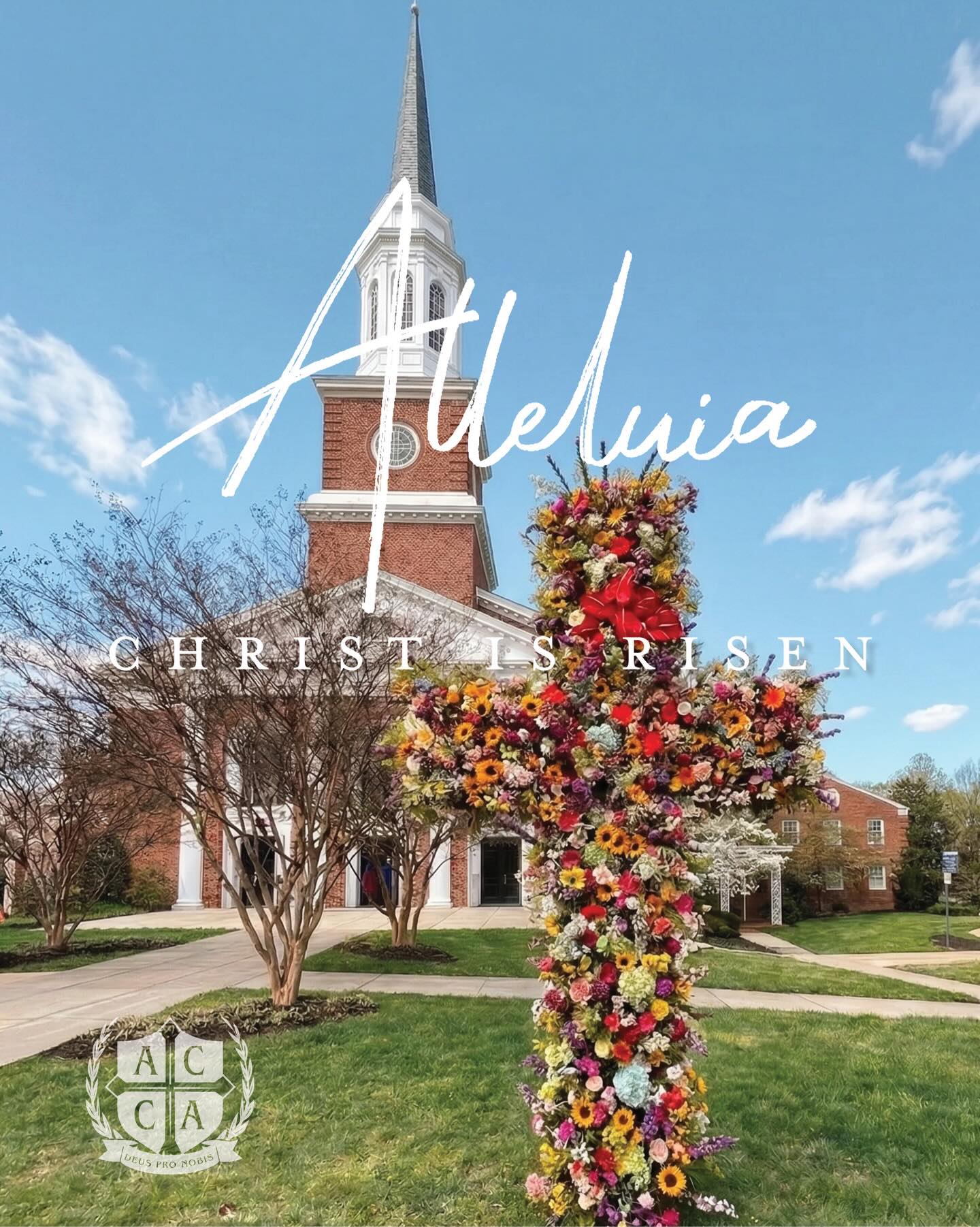 Alleluia! Christ is Risen!
He is risen indeed—our hope, our joy, our salvation.
His blood has been shed for you. Death has been defeated.
Wishing our ACCA families a blessed and joyful Easter. ✝️🌿