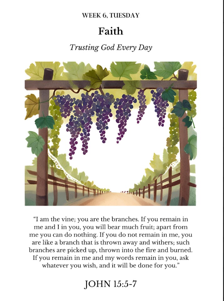 "I am the vine: you are the branches. If you remain in me and I in you, you will bear much fruit; apart from me you can do nothing. If you do not remain in me, you are like a branch that is thrown away and withers; such branches are picked up, thrown into the fire and burned. If you remain in me and my words remain in you, ask whatever you wish, and it will be done for you. John 15:5-7
www.womenschristianfellowship.org
#vines #branches #fruit