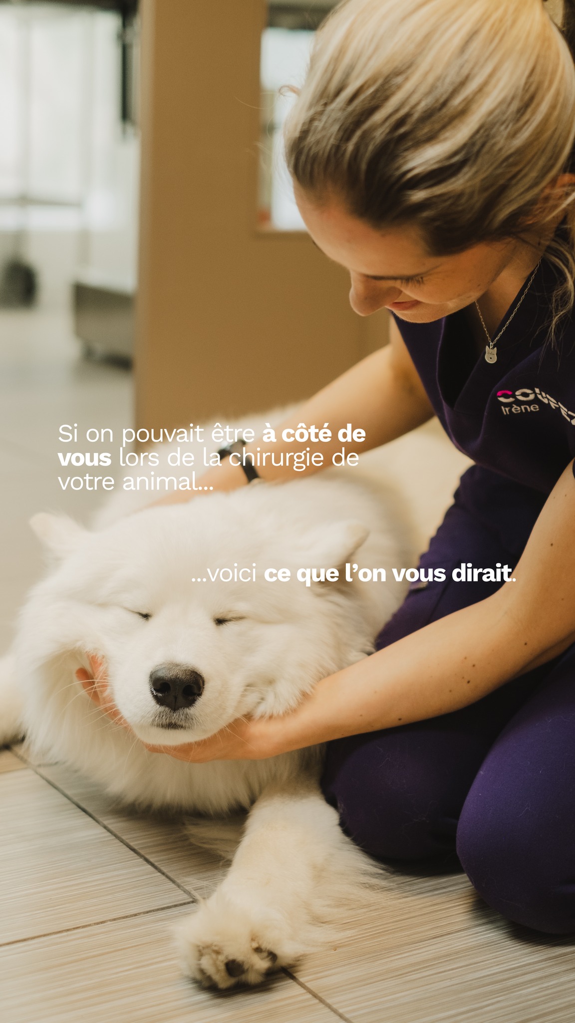 Si on pouvait être à côté de vous lors de la chirurgie de votre animal, voici ce que l'on vous dirait. ❤️🩹