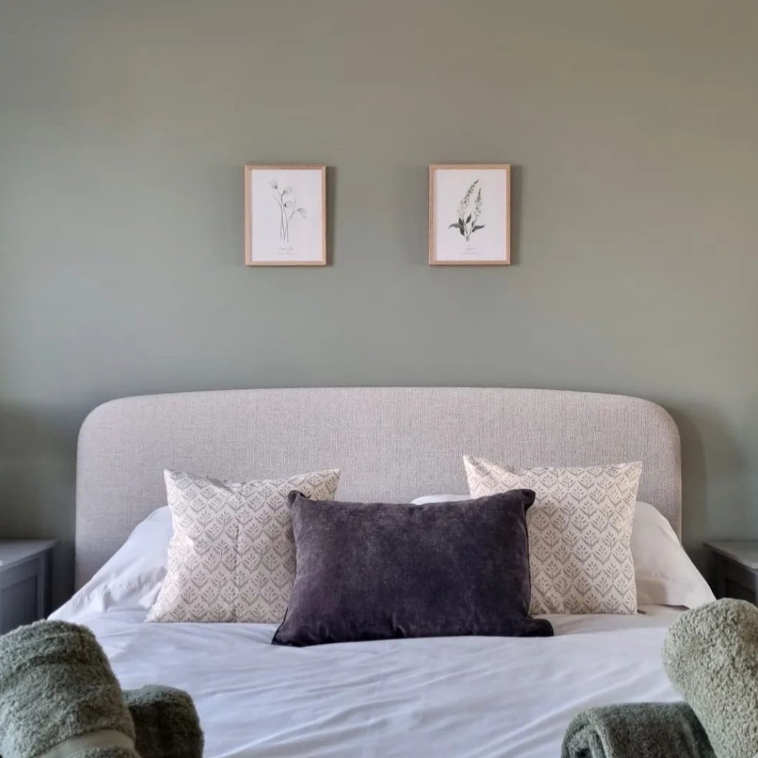 Lovely to see my Cotton Grass & Foxglove Wildflower botanical prints up in the @thewillowsselfcatering in Orkney