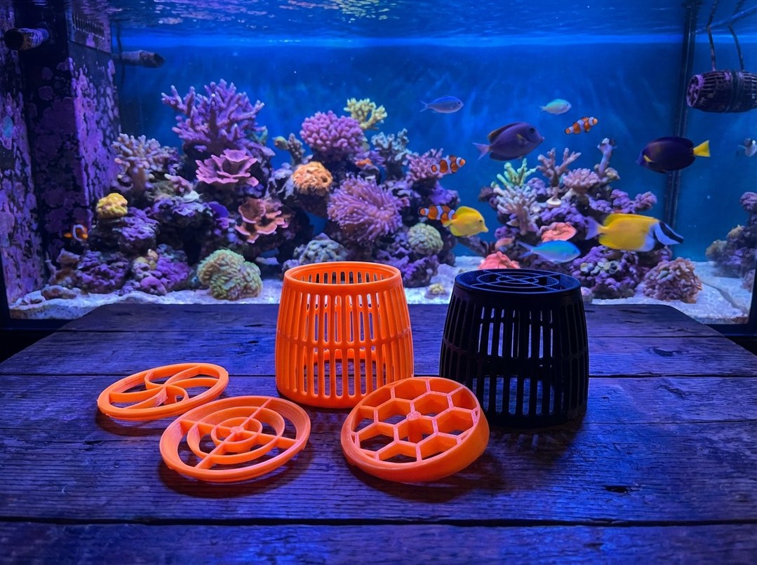 🌊 ECOTECH UPGRADES ALERT! 🌊
If you haven't already checked out our awesome EcoTech MP10, MP40, and MP60 replacement covers and anemone guards, now's the time! 🐠
With our triple attachment system, you get unparalleled control over your flow dynamics—optimize water circulation exactly how your corals need it, without the hassle. Perfect for protecting your anemones while maximizing performance. 💪
These aren't just covers—they're game-changers for your reef setup. Check them out now:
🔗 UK: https://www.thepolyppros.co.uk/ecotech-upgrades?scrollToProduct=mp60-replacement-anemone-guard
🔗 EU: https://www.thepolyppros.eu/category/the-polyp-pros-ecotech-upgrades
#EcoTechUpgrades #AnemoneGuard #ReefTank #MarineAquarium #AquariumAccessories #FragTank #ReefKeeping #CoralKeeper #ReefNerd #CustomAquarium #AquariumHobby #MarineLife #ReefCommunity #AquariumSetup #ThePolypPros #ReefAddict #CoralAddict #AquariumLove #ReefKeeper #MarineHobby #AquariumGear #ReefTankSetup #CustomAccessories #3DPrinted #AquariumEssentials #ReefKeepersUnite