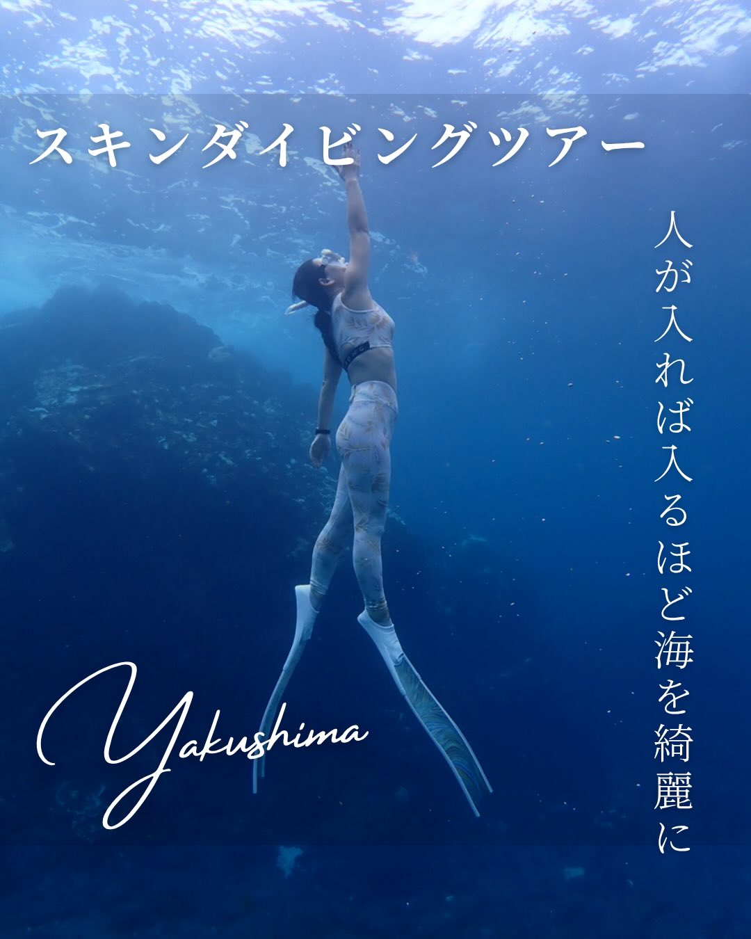 【ゴールデンウィーク、
夏のご予約も受け付け中です🩵】
出産&育児でお休みをいただいておりましたが、
2026年4月からツアー再開しております❣️
お久しぶりの投稿は、2024年の秋のツアー🤿✨
3日間、潜りに来てくださった、KATOさん🧜♀️
とっても美しく、
気持ち良さそうに潜る
スキンダイバー のKATOさん🐠🪸🧜♀️
私の大好きな、アワアワが美しいポイントで、
たくさん一緒に潜れました🫧
この年は、海水温が上がり過ぎて、珊瑚が白化🥲
皮肉にも写真や動画に映る、
白化した珊瑚たちは美しく映っております🪸
3日間も一緒に潜れるのはとても楽しいし、
嬉しいです🥰✨
亀にもバッチリ会えました𓆉✨✨✨
KATOさんありがとうございました🩷🩷🩷🙏
𓇼𓇽𓇼𓇼𓇽𓇼𓇼𓇽𓇼𓇼𓇼𓇽𓇼𓇼𓇽𓇼𓇼
【水の精 屋久島】
嵯峨 京子|SAGA KYOKO🧜
@mizunosei.yakushima
こちらをタップ👆
プロフィールの1番下をタップすると
ホームページにとびます🐠
フォロー嬉しいです💖
海のおそうじ🚮✨
×
【シュノーケリング 半日】1グループ貸切
8,300円/1人
7,700円/2人
6,800円/3人
【スキンダイビング 半日】1グループ貸切
11,300円/1人
9,900円/2人
8,600円/3人
【スキンダイビング ステップアップコース】
1グループ貸切
12,200円/1人
11,300円/2人
9,900円/3人
【ファンスキンダイビング】
1グループ貸切
7,700円/1人
6,800円/2人
5,000円/3人
【体験ダイビング 半日】
1グループ貸切
12,200円/1人
11,300円/2人
9,900円/3人
お支払いは現金のみです🌺
𓆉𓈒𓂂𓏸𓆟𓏸𓂂𓈒𓈒𓂂𓏸𓆜𓆝𓆞𓏸𓂂𓈒𓈒𓂂𓏸𓆉𓏸𓂂𓈒𓂂𓏸𓆟𓏸𓂂𓈒𓇼
#水の精
#屋久島暮らし
#水辺の事故ゼロを目指してます
#楽しく安全に海遊び
#人が入れば入るほど海を綺麗に