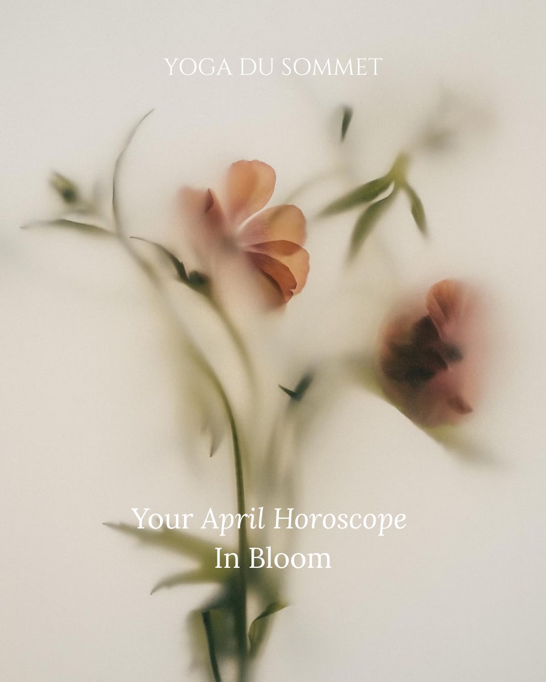 April feels different….
After the pink moon at the end of march 🌕, something closed... not loudly, not dramatically... but in a way that asked you to let go, soften, and make space.
This month isn’t about rushing forward
It’s about realignment 🙏🏻
Less chaos, more clarity
Less force, more intention
April is asking you to come back to the basics
You’re not behind … you’re recalibrating
I release what no longer aligns and trust what is unfolding for me ✨