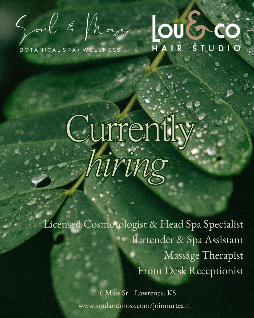 We’re excited to invite you to join our team at Soul & Moss and Lou & Co! We’re looking for passionate, dedicated individuals to fill several positions. Imagine working in a vibrant, supportive, and stunning space. Come be part of something special with us! Learn more with the link in our bio. 710 Mass St, Lawrence, KS
#hiring #lawrenceks #downtownlawrence #spa #massagetherapist