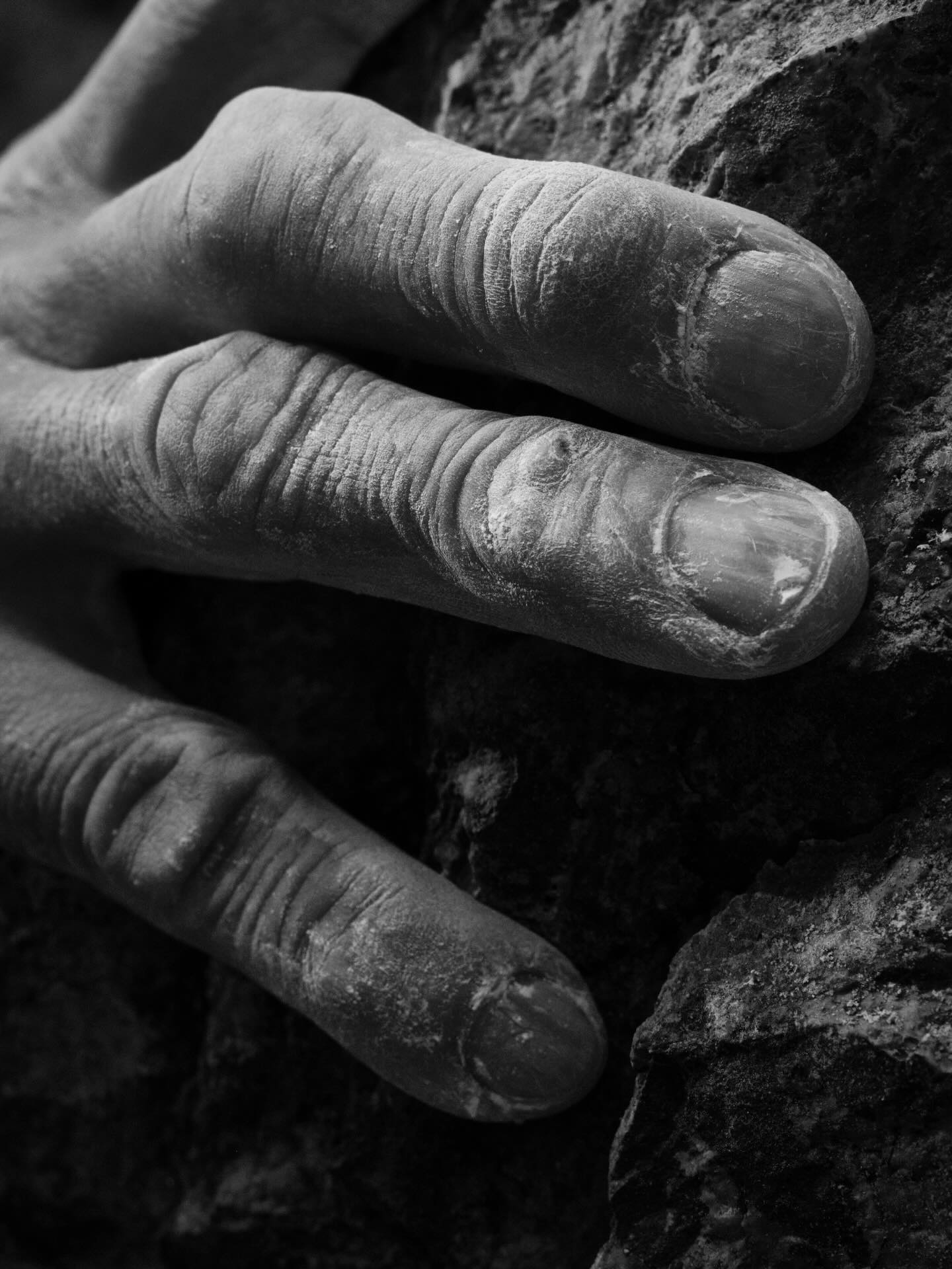 クライマーの指は、無機と有機の境界を越えて、岩肌の静寂すら宿していく。