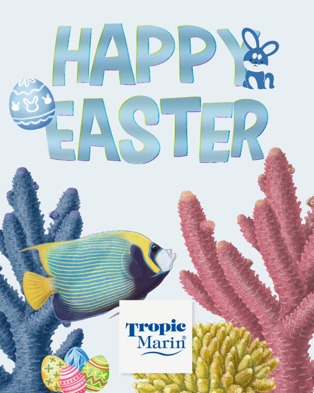 Tropic Marin wünscht euch ein frohes Osterfest! 🐰
_________________
Tropic Marin wishes you a Happy Easter! 🐰
_________________
#tropicmarintanks #tropicmarin #tropic_marin #aquaunited #happyeaster #froheostern
#eatsleepreef #allmymoneygoestocoral #reefporn #coralporn #reefaholics #aquarium #saltwateraquarium #nanoreef #reeftanks #euroreefers #reef2reef #reefers4reefers #vitaminsea #seafari #scireef
@tropicmarinusa @tropicmarinbr @tropic_marinarg @tropicmarinperu @aquarium_planet_cr @scireef @aqua.united.gmbh