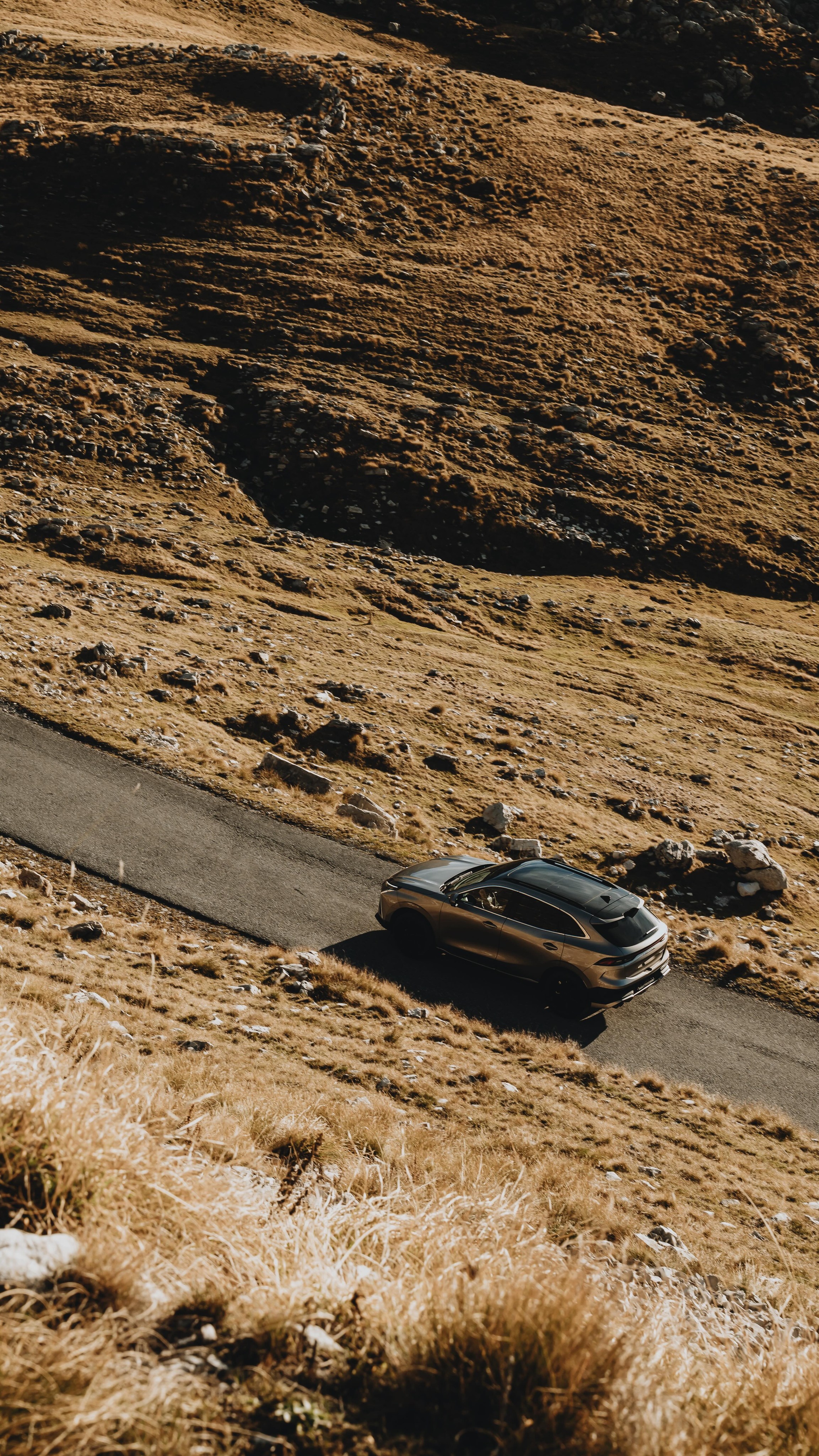 car diaries
w/ @forthingmontenegro