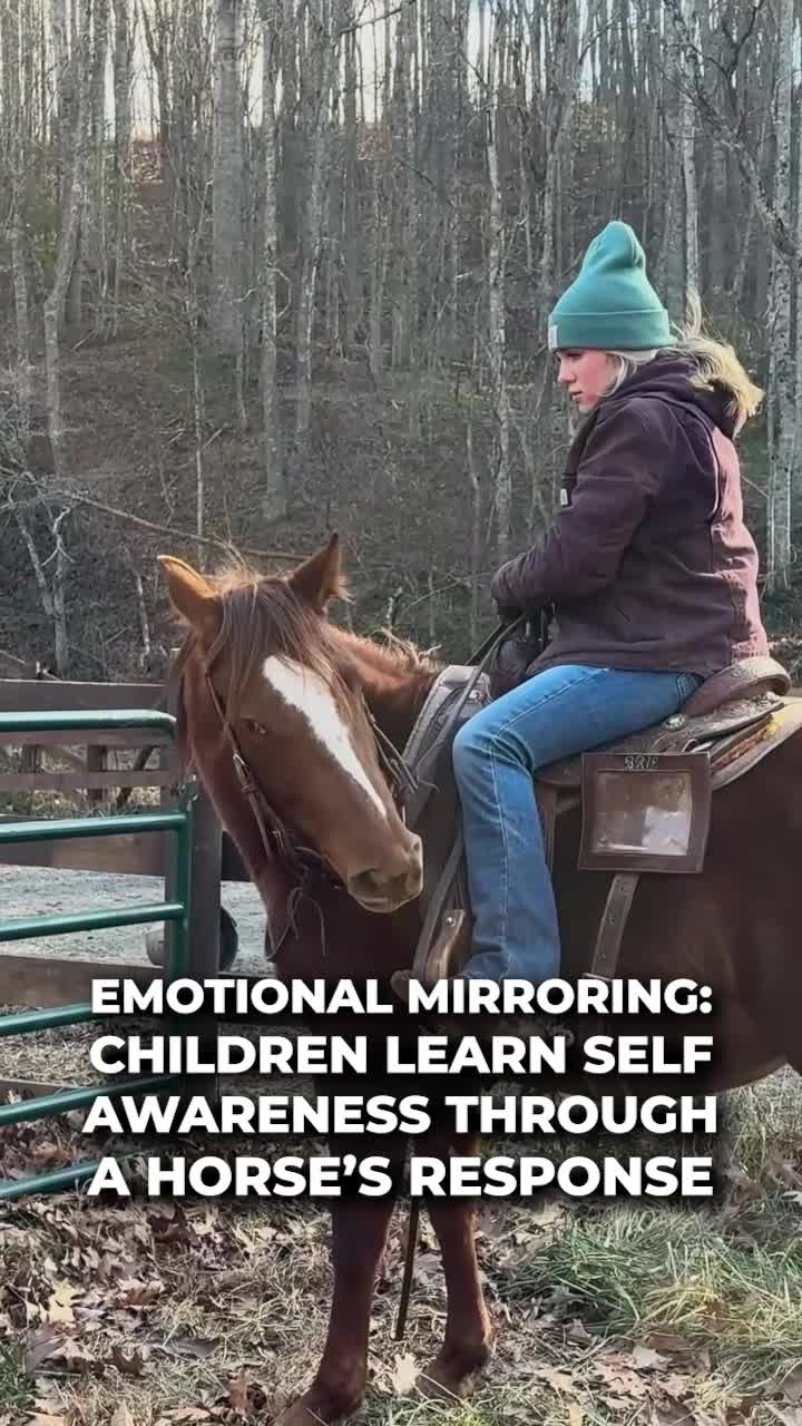 Children gain valuable self-awareness by observing how horses respond to their emotions. Discover the transformative power of these connections!
ㅤ
#horse #emotionalwellbeing #farm #homestead #nonprofit