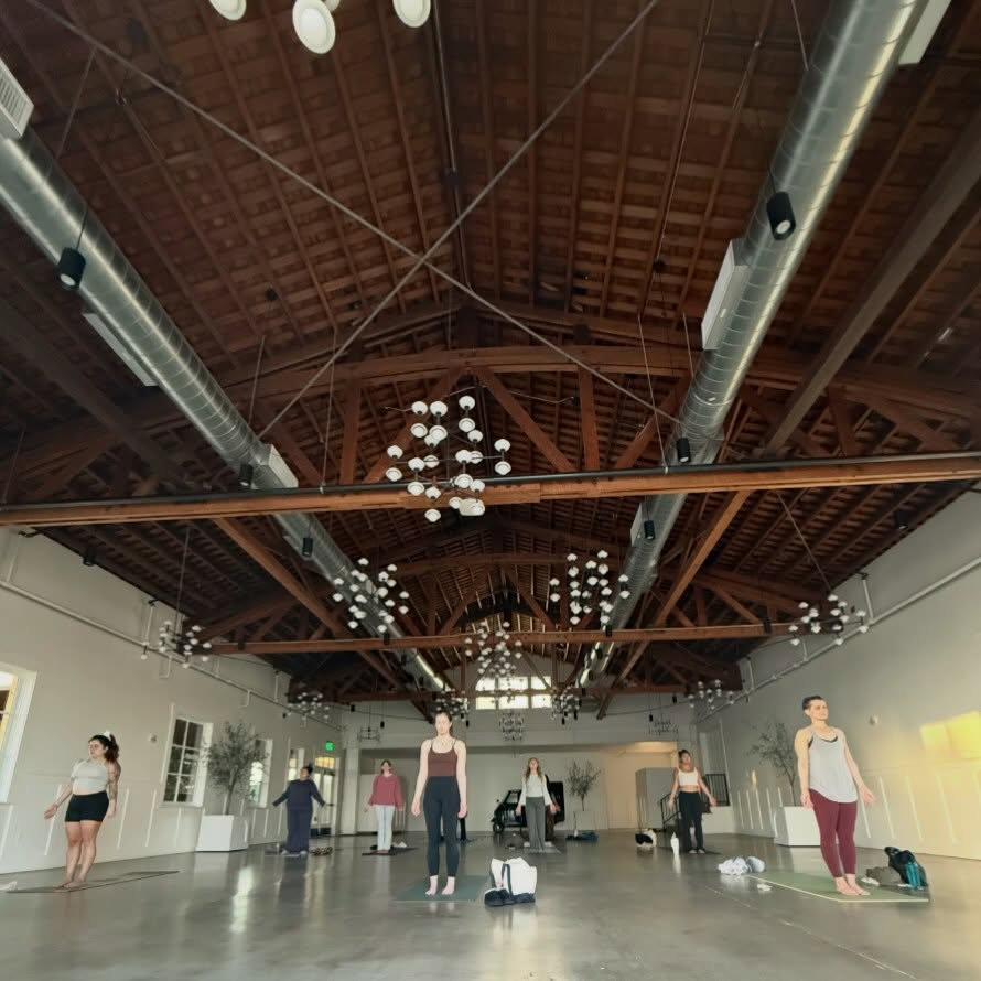 .
sometimes all you need
is a place to land—safely.
back in your body.
back into your own skin.
back to what’s true.
join us for our
Monthly Somatic Release: yoga + breathwork
@therichlandoc
every 2nd Tuesday // 6–7:30PM
for more info + to register - visit the link in my bio.
see you on your mat ✨
#somatichealing #breathwork #yoga #orangecountyyoga #majarebornyoga