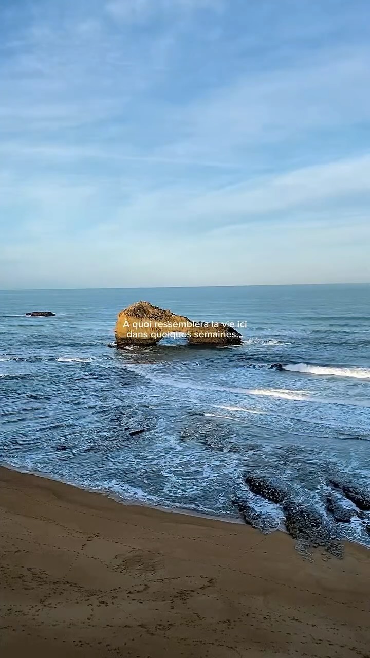 SI HÂTE 🌞🐚🌊🍹🌅