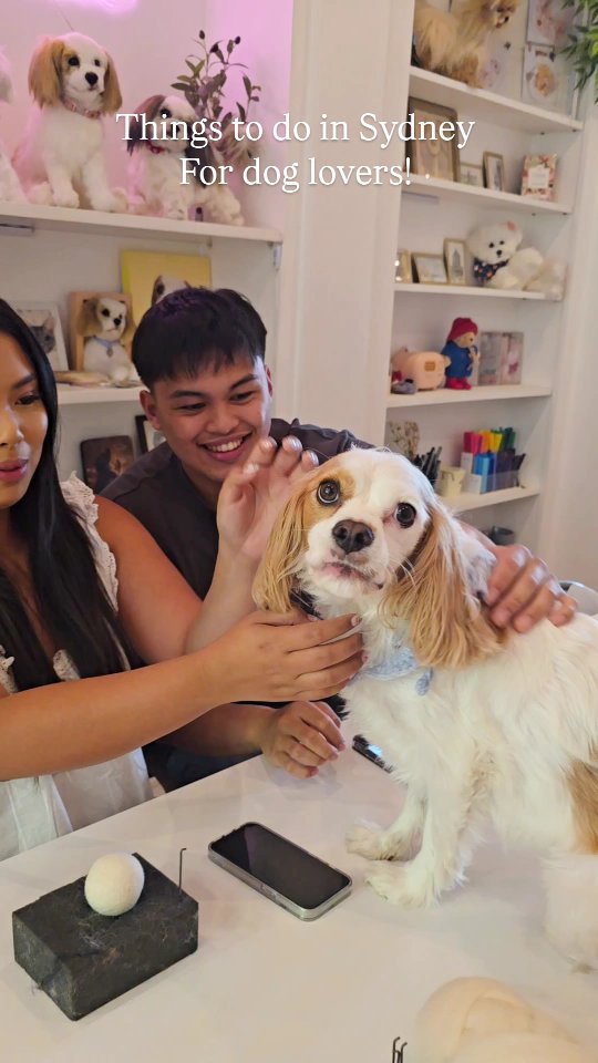 Dog lovers things to do in Sydneyโจ๐พ
Are you a fan of needle felting or just love exploring creative hobbies? ๐งถ๐จ
Do you adore your furry friend and want a unique way to cherish them forever? ๐โค๏ธ
๐ Our Sydney Needle Felting Class is here to bring your creativity to life! ๐
๐ Dog Keychain Making Class
๐ 2 Hours of Fun & Creativity
๐ธ Bring your dogโs photo and turn it into a 3D Portrait Keychain! ๐พ๐
๐ Perfect for beginners AND craft pros โ anyone can join!
๐ Create something one-of-a-kind, bond with fellow crafters, and celebrate your love for dogs! ๐พ
๐
Donโt miss this pawsome opportunity โ spots are limited!
#thingstodoinsydney #sydneyactivity #sydneydog #doglovers