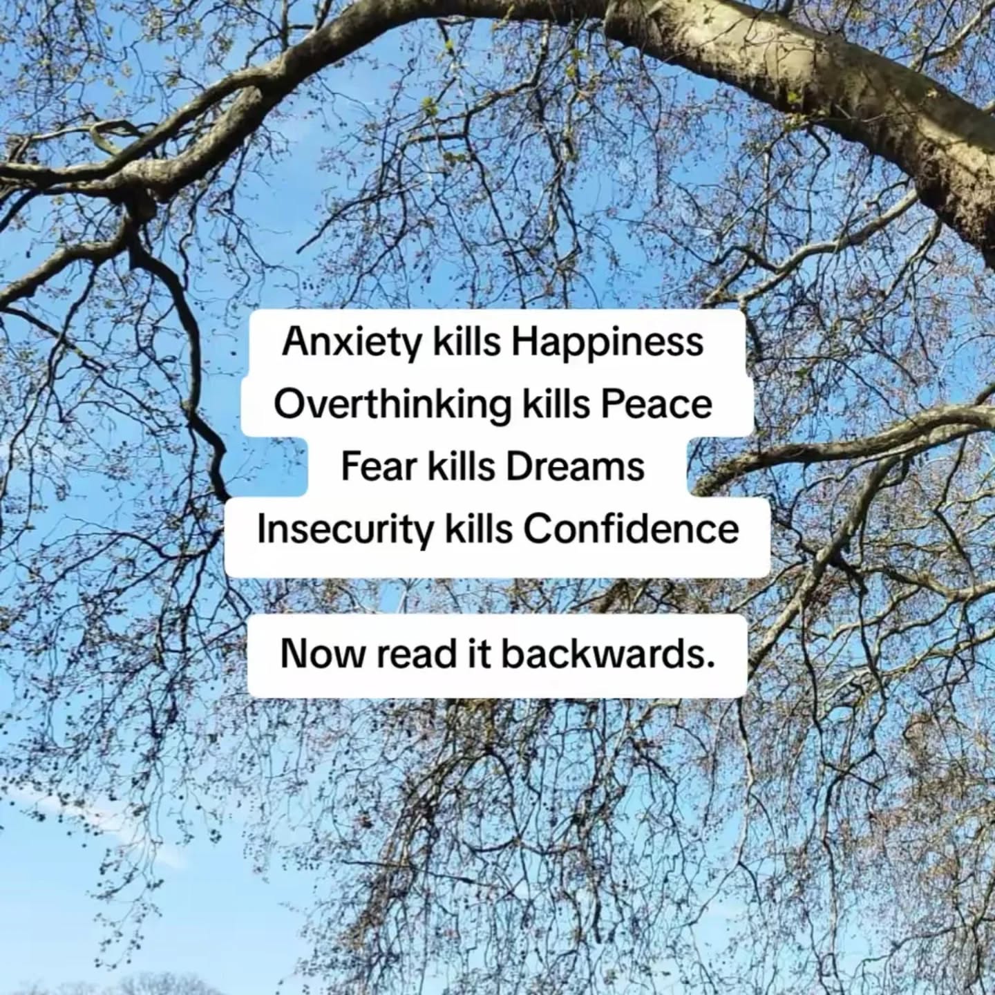 Anxiety kills happiness
Overthinking kills peace
Fear kills dreams
Insecurity kills confidence
Now read it backwards.
#positivemindset #healingjourney #personalgrowth #positivequotes #mentalhealth