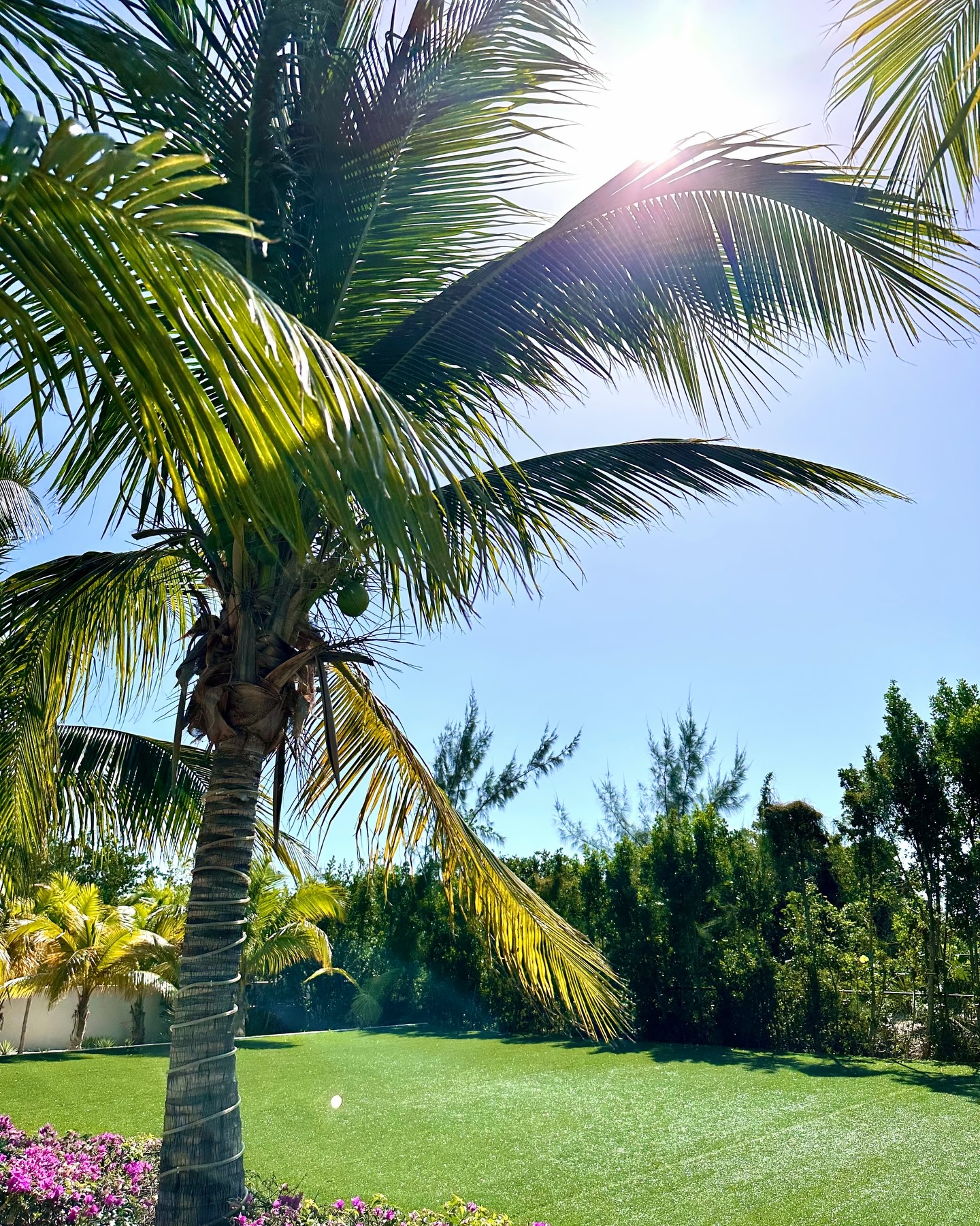 Postcards from paradise 🌴🥥🌺🌊
Forever grateful to have experienced even a fraction of this beautiful world!
There’s a saying: if you want to see all the negative and ugly parts of the world…watch the news
If you want to see the positive and the beauty…go out and travel! ✈️
And the more I explore, the more I truly feel that
Because when you’re out there, you realize how kind people are, how diverse and vibrant this world is, and how much beauty exists in the little, everyday moments 🌅
It shifts something in you
The opportunity to travel is something I will NEVER take for granted
There’s something so special about expanding your frame of reference - experiencing new cultures, seeing new places, and stepping outside of your own little bubble
It teaches you to slow down, to be present, to actually see what’s in front of you. To reconnect with what truly matters
Travel has changed me in the most beautiful ways
It’s softened me, opened me, deepened my gratitude. It’s brought me back, again and again, to that childlike sense of awe for this planet we get to call home
And honestly…the more I see of the world, the more I feel called to protect it 🌎🩵
Because this place - the ocean, the earth, and every living being in it - is worth fighting for!