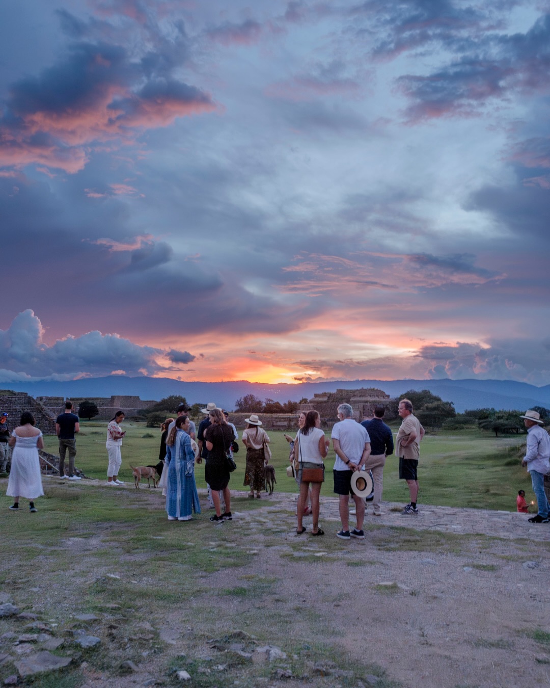 Hay atardeceres… y luego está el atardecer en Monte Albán.
De verdad es otro nivel
Y justo eso es lo que nos gusta hacer:
no solo llevarte… sino que lo vivas distinto.
Ir a tu ritmo, sin prisas, con el plan armado para ti.
Cada experiencia se adapta a cómo quieres vivir ese momento.