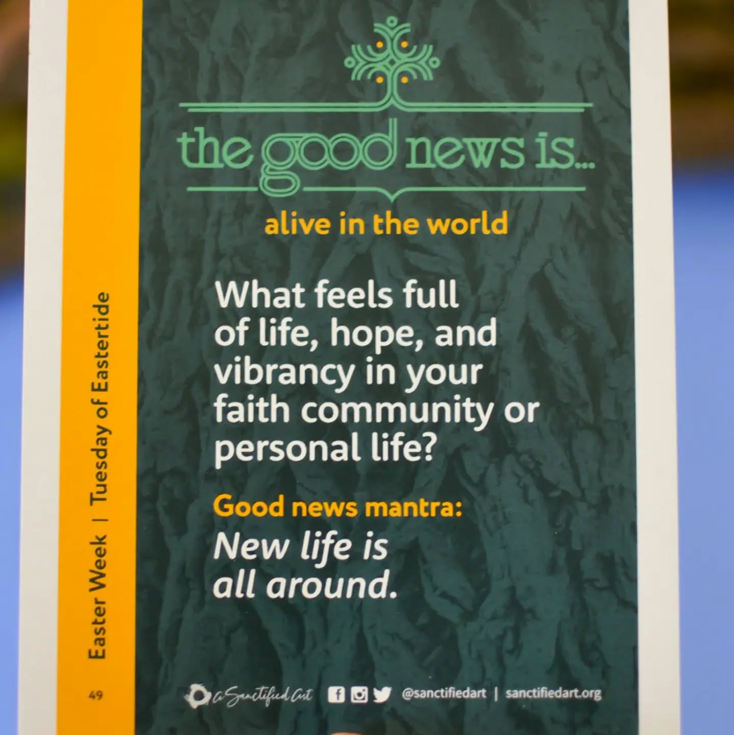 Living God, there is so much to be grateful for. Even in the midst of death, new life emerges. Thank you for the flowers that push up through the snow. Thank you for the sun that rises each morning. Thank you for young people who bring energy to tired places. Thank you for hope on the horizon. Thank you for birdsong and new friends and the old, old story of your endless love. Thank you for all the things that help me feel full to the brim with life. Amen.
—prayer by Rev. Sarah A. Speed | @sanctifiedart