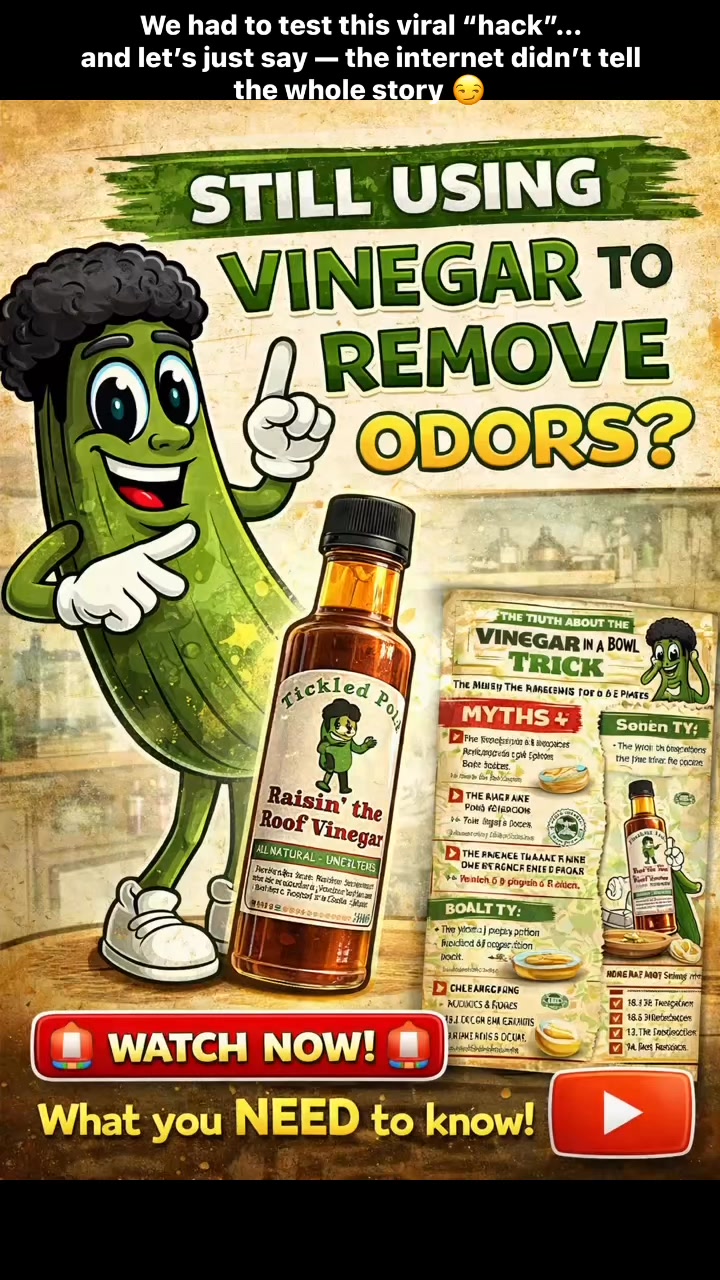 🥒💥 STILL using vinegar to remove odors?? 👀
We had to test this viral “hack”…
and let’s just say — the internet didn’t tell the whole story 😏
👉 Does a bowl of vinegar REALLY:
✨ Remove odors overnight?
✨ Leave your room smelling like nothing?
✨ Work like magic?
🚨 Not exactly…
✔ It can help neutralize certain smells
❌ It doesn’t “pull” odors out of the air
❌ It’s NOT a miracle fix
👉 And yes… your room might smell like pickles first 😂
BUT here’s the real twist…
🥒✨ LIVE vinegar does it smarter
More complex. More dynamic. More… alive.
We broke down:
🔬 The science
🚫 The myths
✅ What actually works
👇 Read it here:
https://www.thetickledpickler.com/post/the-truth-about-the-vinegar-bowl-trick
Because around here…
👉 we don’t just use vinegar
👉 we understand it
⸻
#TheTickledPickler #LiveVinegar #VinegarHack #HomeHacks #CleanSmart #FoodScience #Fermentation #GutHealth #NaturalLiving #DIYHome #FermentedFoods #KitchenHacks #NoCukesGiven #TurningBlandIntoGrand