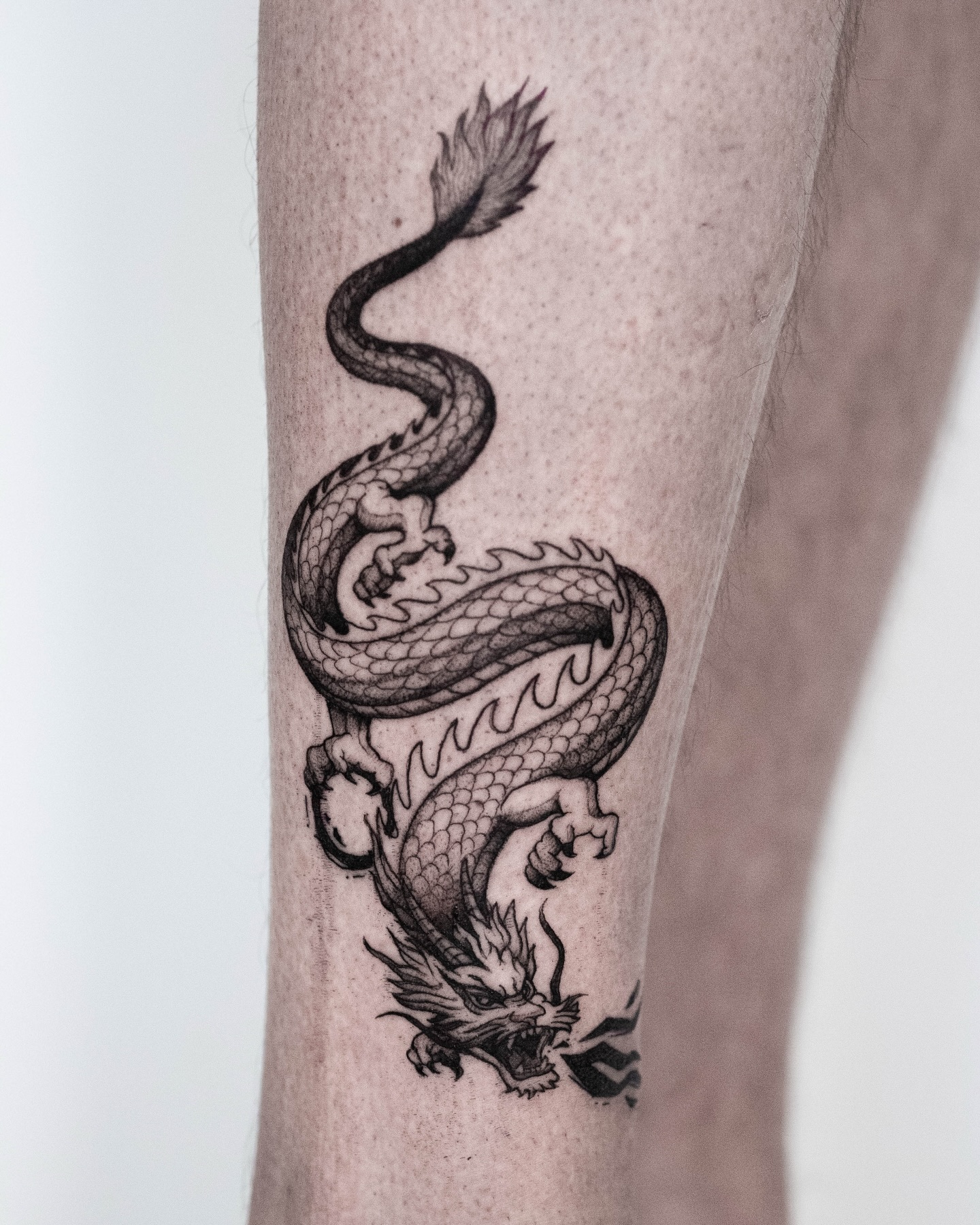 We added a dragon to Wessel’s collection, with sharp woodcut textures carved into the design, especially through the flames. The contrast between clean blackwork and these rough, etched details gives it a raw, graphic edge. Thanks again for the trust, Wessel.
#dragontattoo #eindhoventattoo #dutchtattoo #tilburgtattoo #finelinetattoo