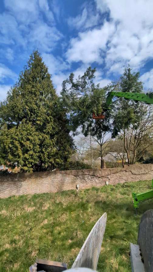 A snippet from @rotoarb_and_lifting delivering his expert tree removal skills on a day where the team removed 10 mature evergreen trees of various species from a large garden to improve the amount of light and prevent damage to adjacent buildings 🌳🪚🪵🏡
All with the helping hands of @treemonkey13 @m1waymason @dannyshayyy 👌
@freddie.halls and @thearbprentice in on the following day to leave the site spotless 🧹
@exsel.plant
@maxpearce91
@rossstev81 #winchestertreesurgeon #treeremoval #hampshiretreesurgeon #andovertreesurgeon #onetwotree