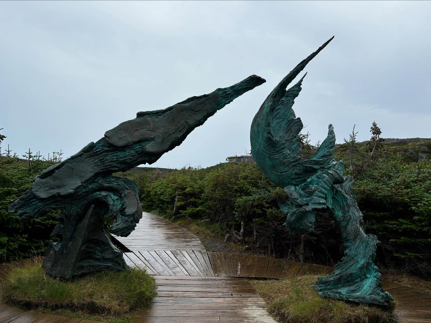 Expédition 51 … Terre Neuve
#arrêterlaspçaroule