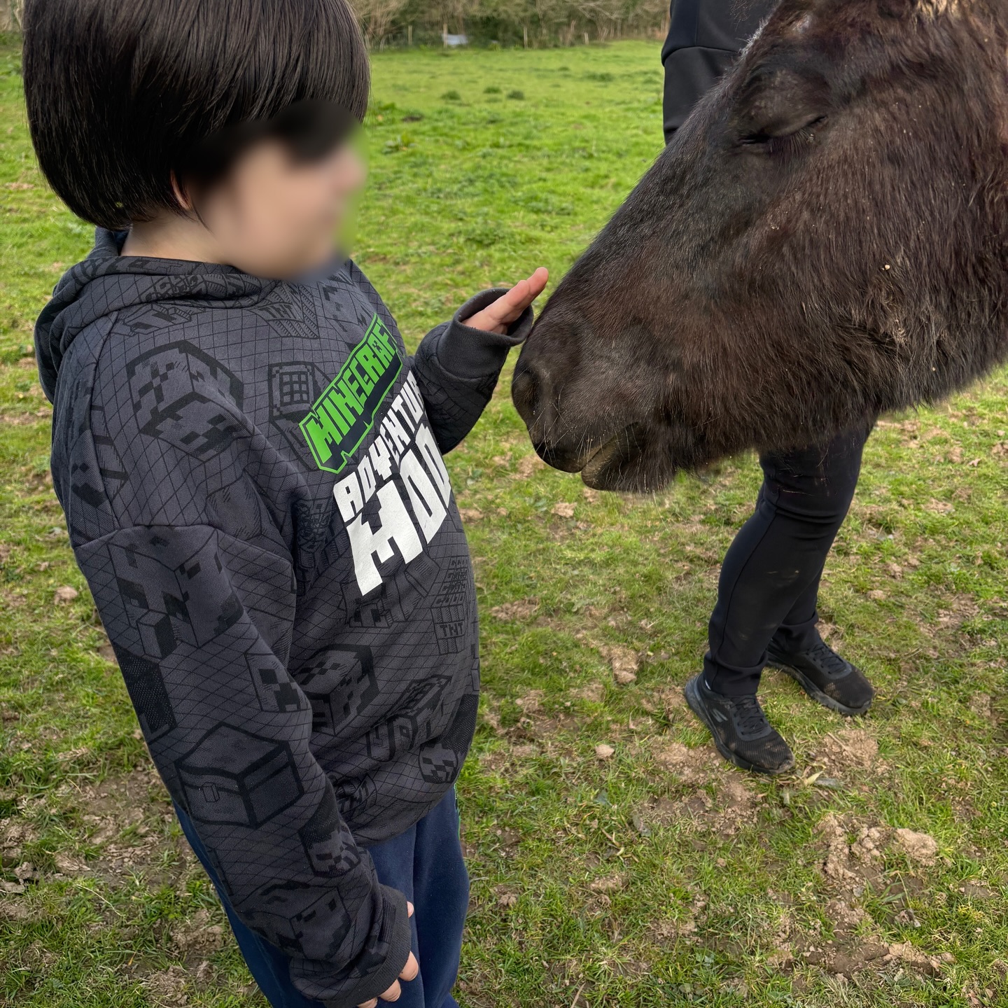 Connection = Peace 🕊️
#moortolife #darmoorponies #natureconnection