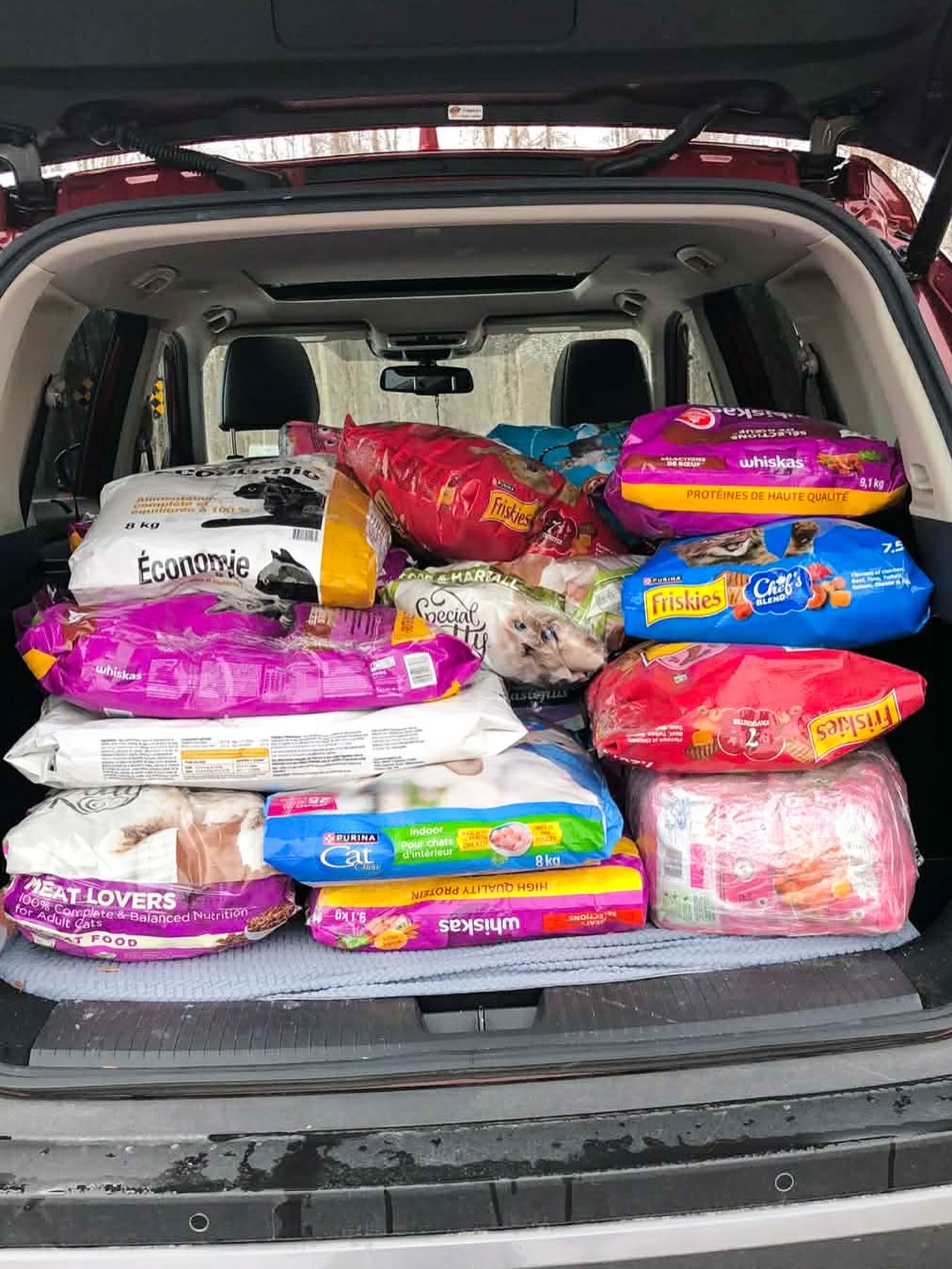 Thank you to Walmart Logistics for the donations to help support our Feed a Feral program! We’re so grateful for their continued support! 💙