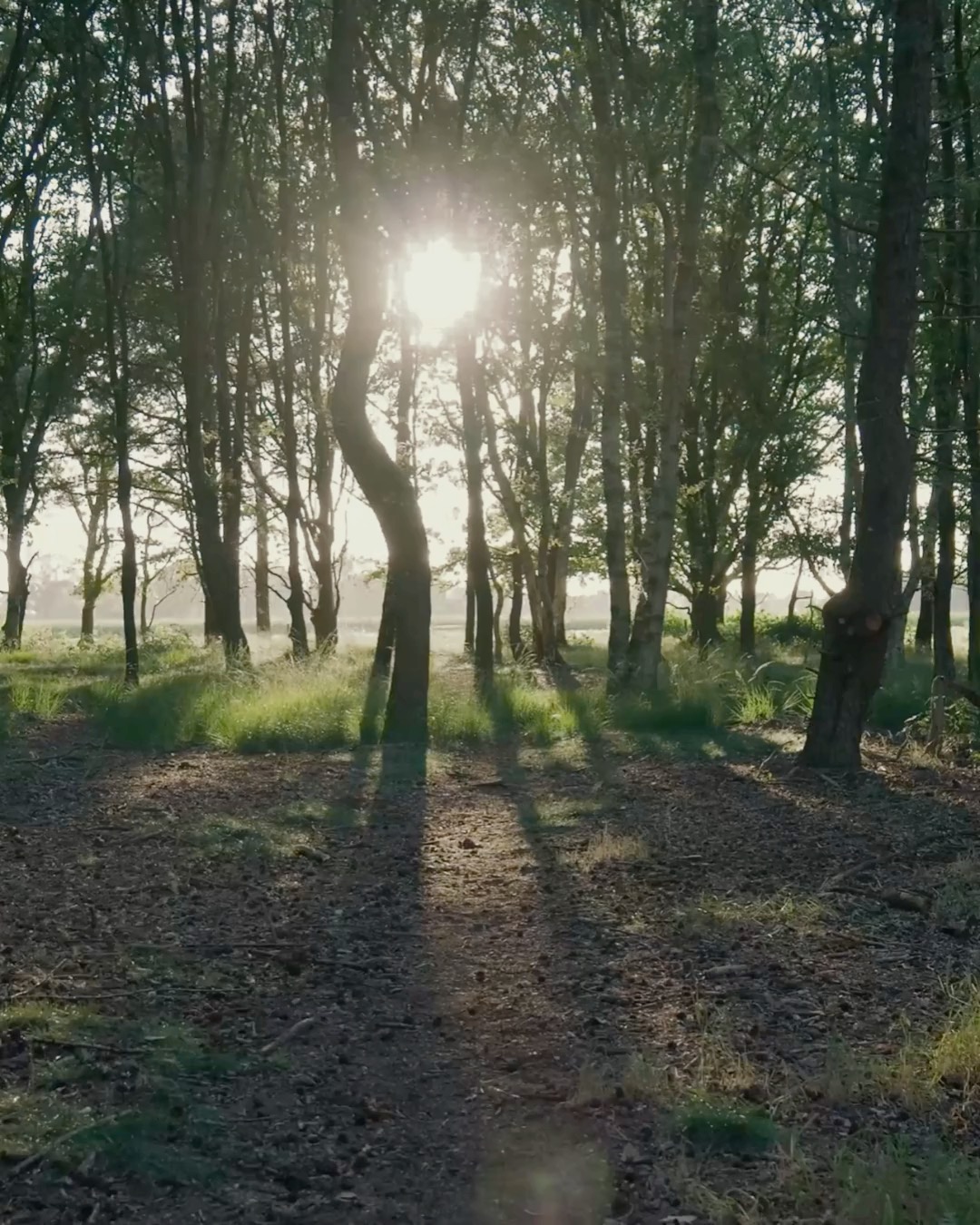 Story Tribe gathers again this Thursday, April 9th.
A space to tell stories,
to listen deeply,
or simply to sit among others who are drawn to stories in the same way you are.
Whether you come with a story to share,
a curiosity to explore,
or just a willingness to listen —
you are very welcome.
If you’re seeing this,
consider it your invitation to the Tribe.
Join us this Thursday.
Register via the link in bio.
#StoryTribe #StorytellingCommunity #StoriesMatter #FindYourVoice #Storyteller